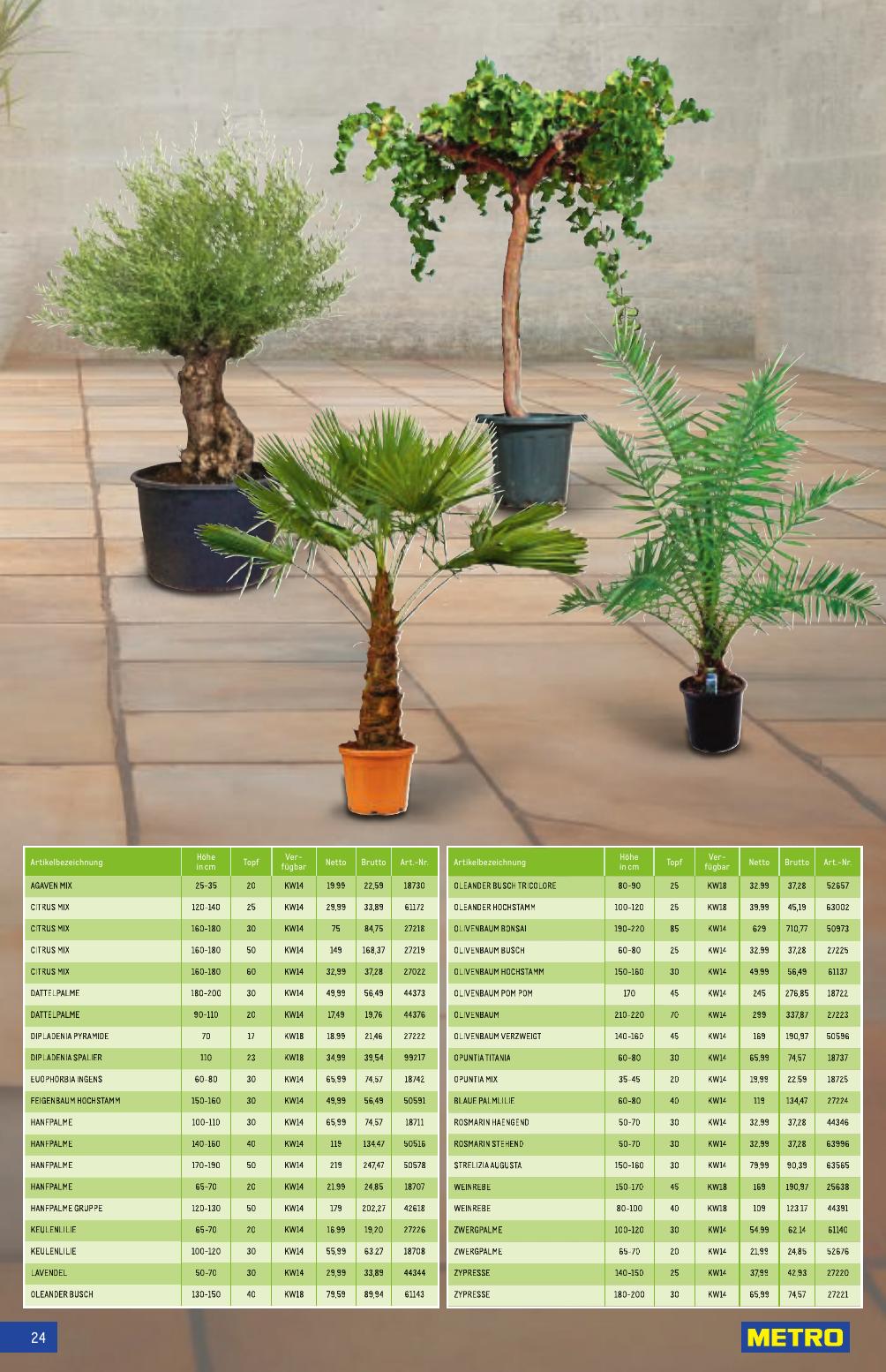 Metro Spezial flyer page