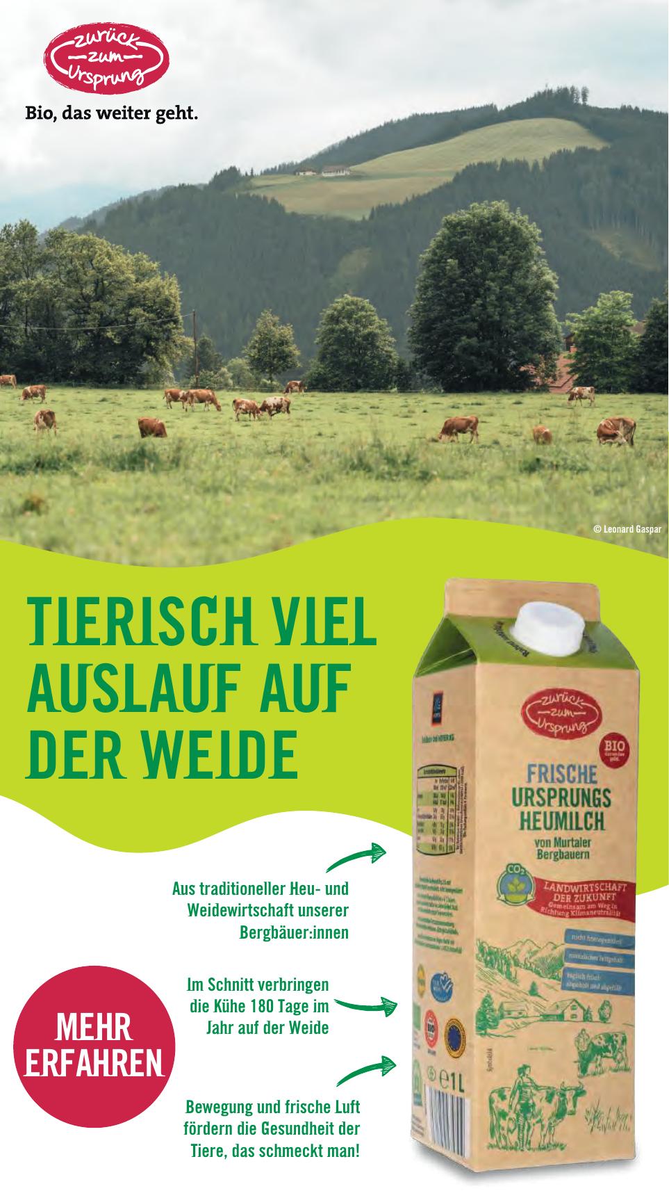 Hofer flyer page
