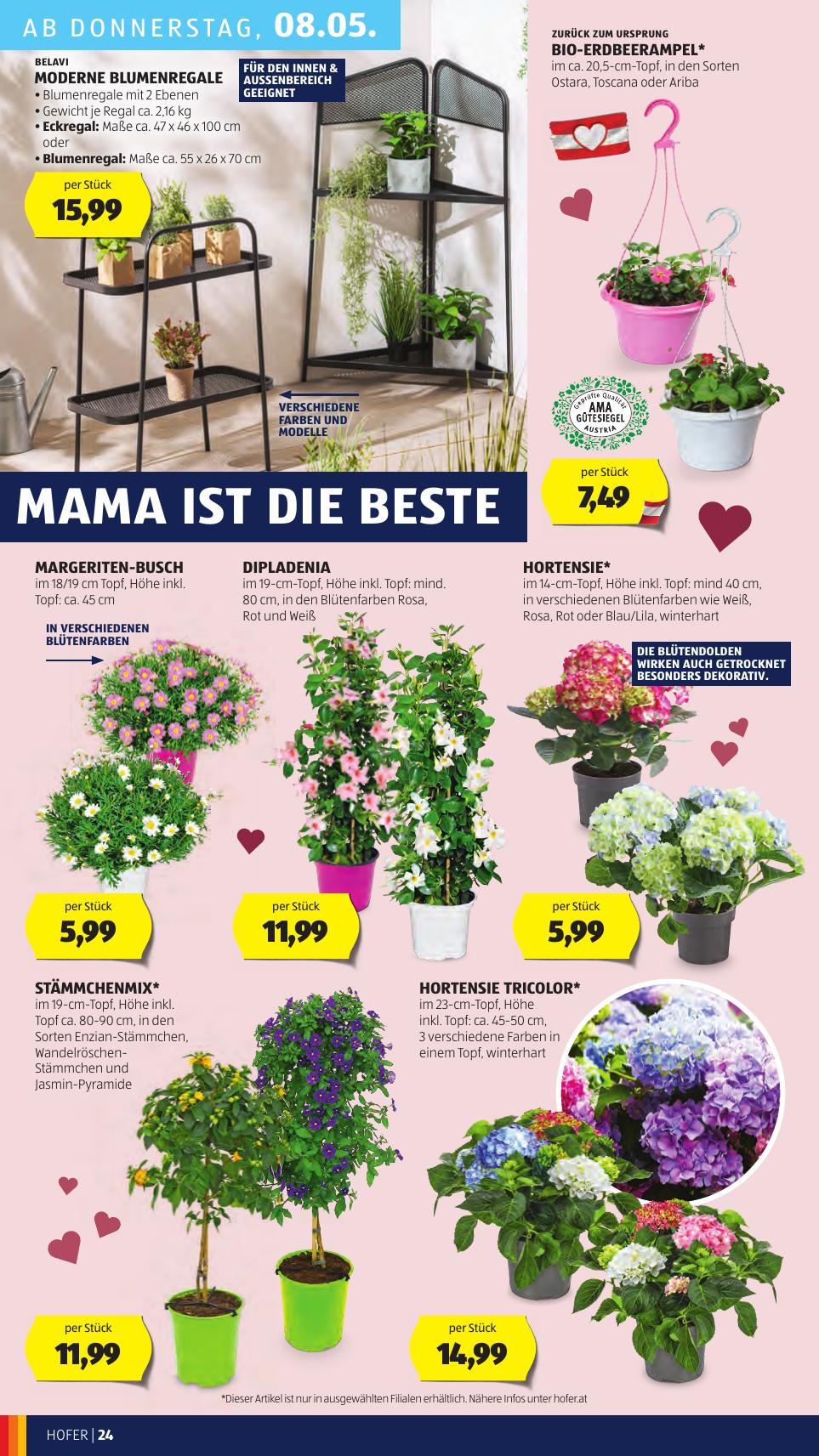 Hofer flyer page