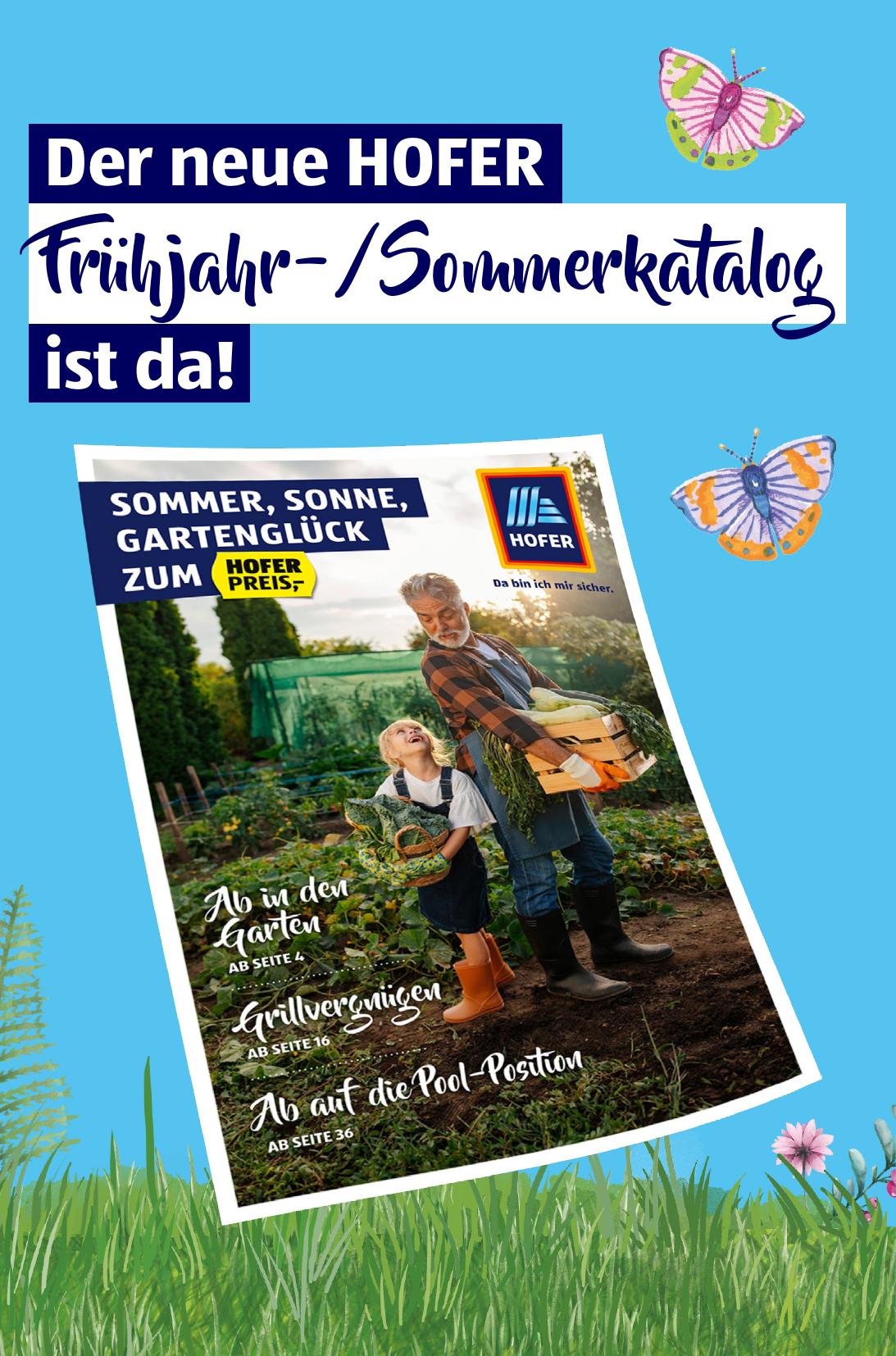 Hofer flyer page