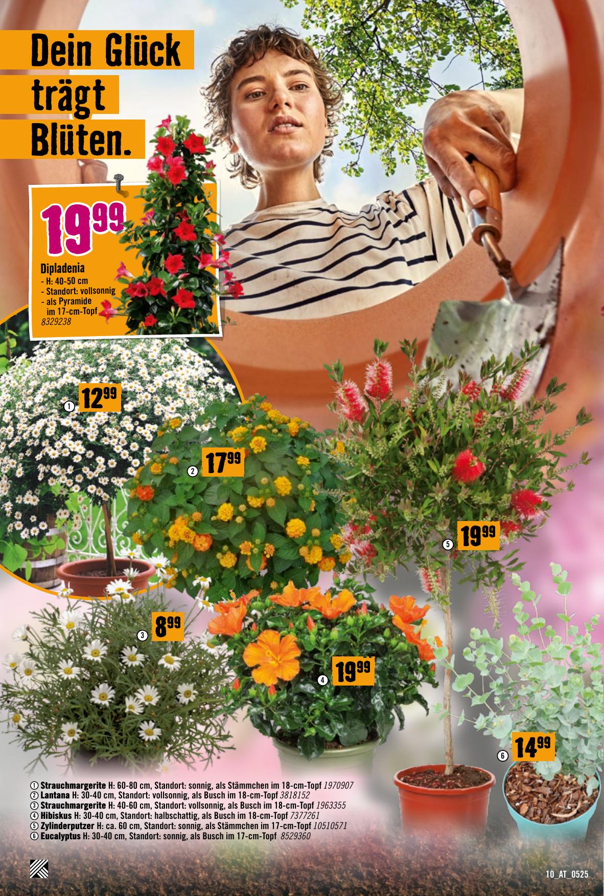 Hornbach flyer page