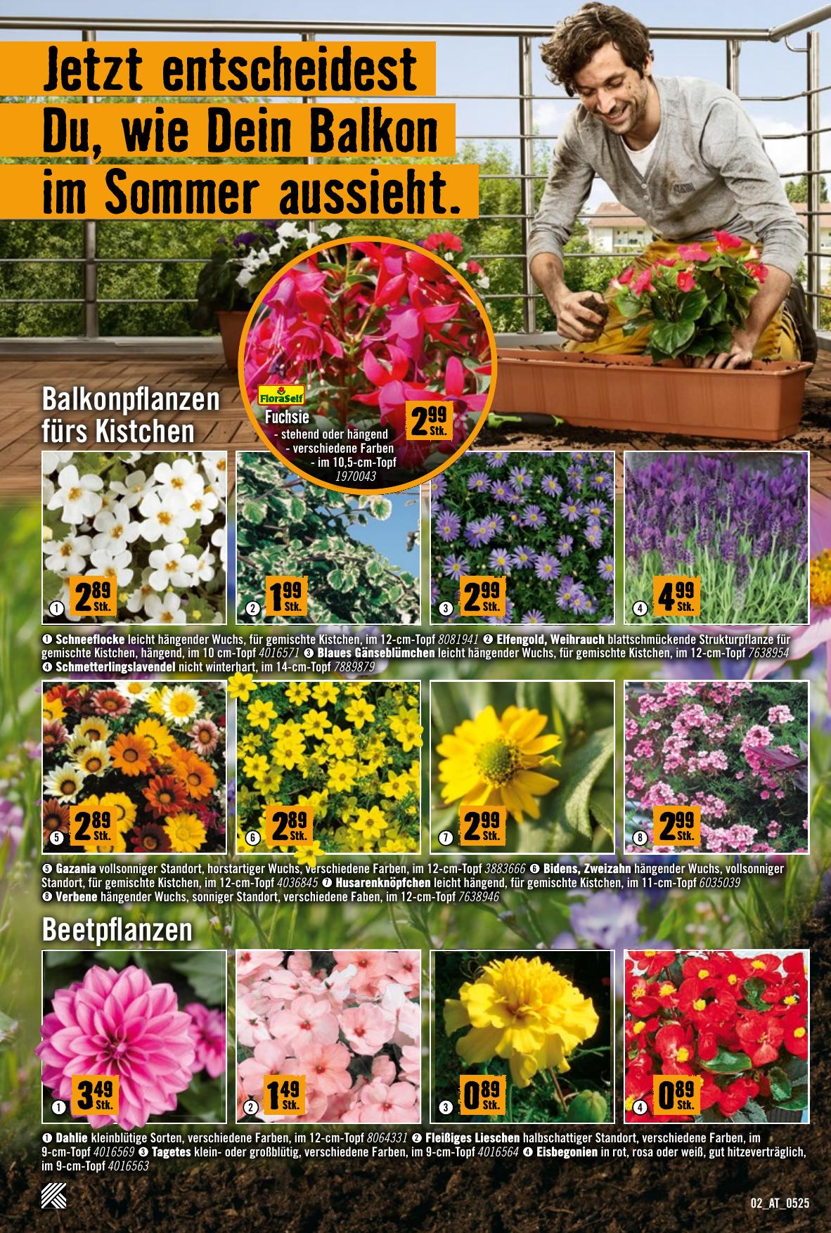 Hornbach flyer page