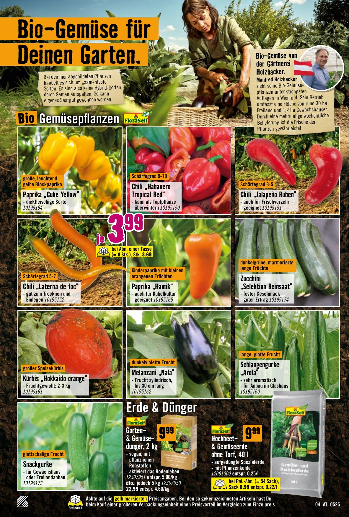 Hornbach flyer page