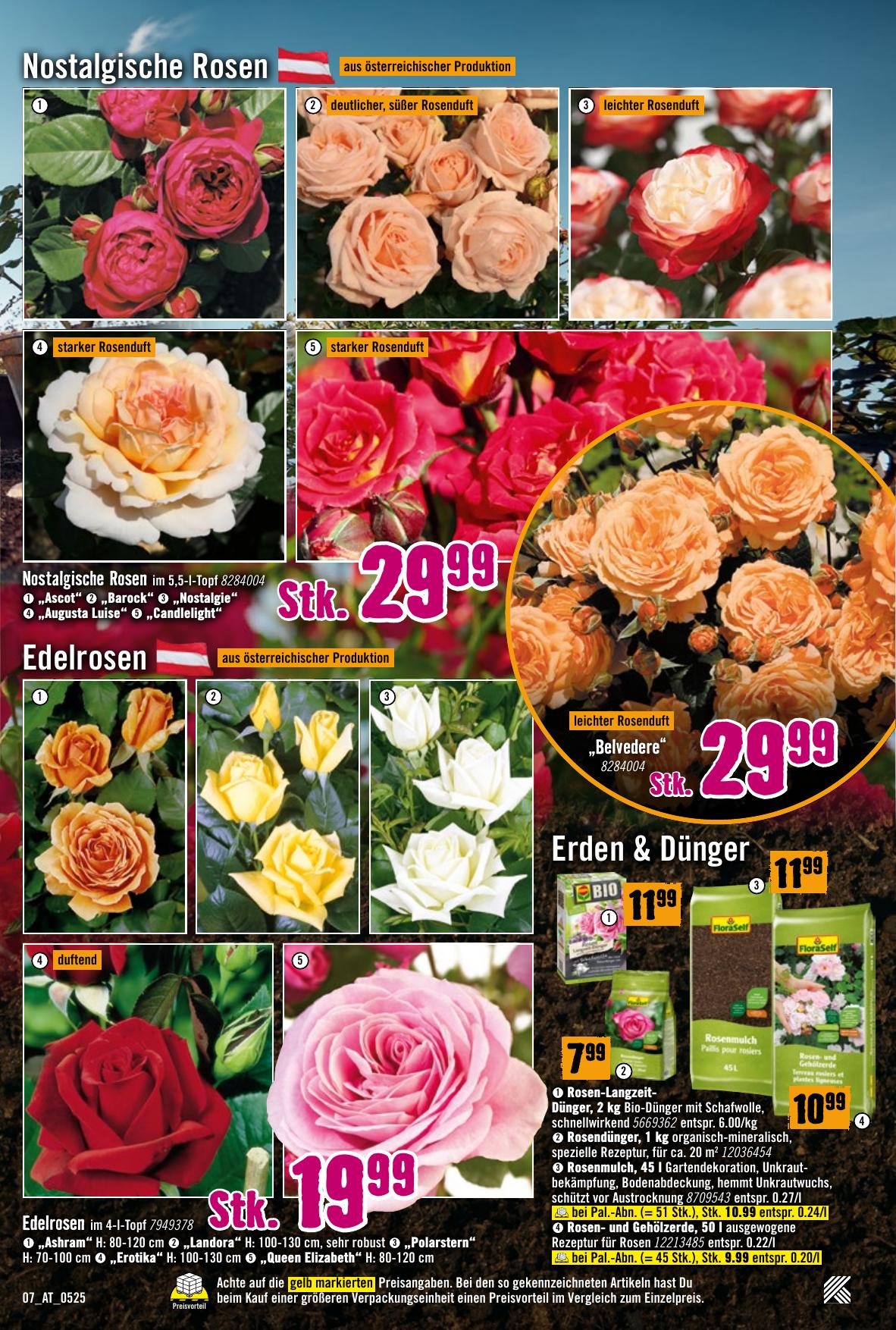 Hornbach flyer page