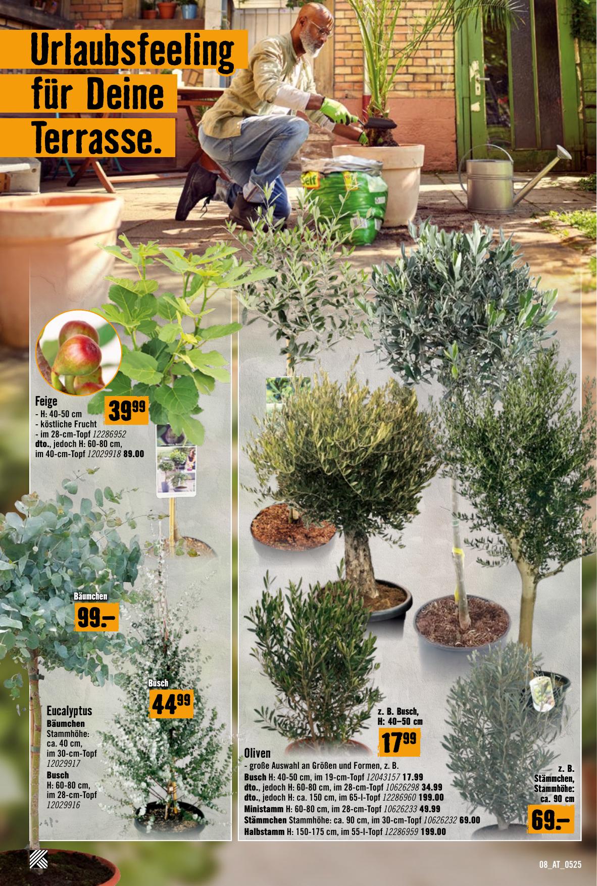 Hornbach flyer page
