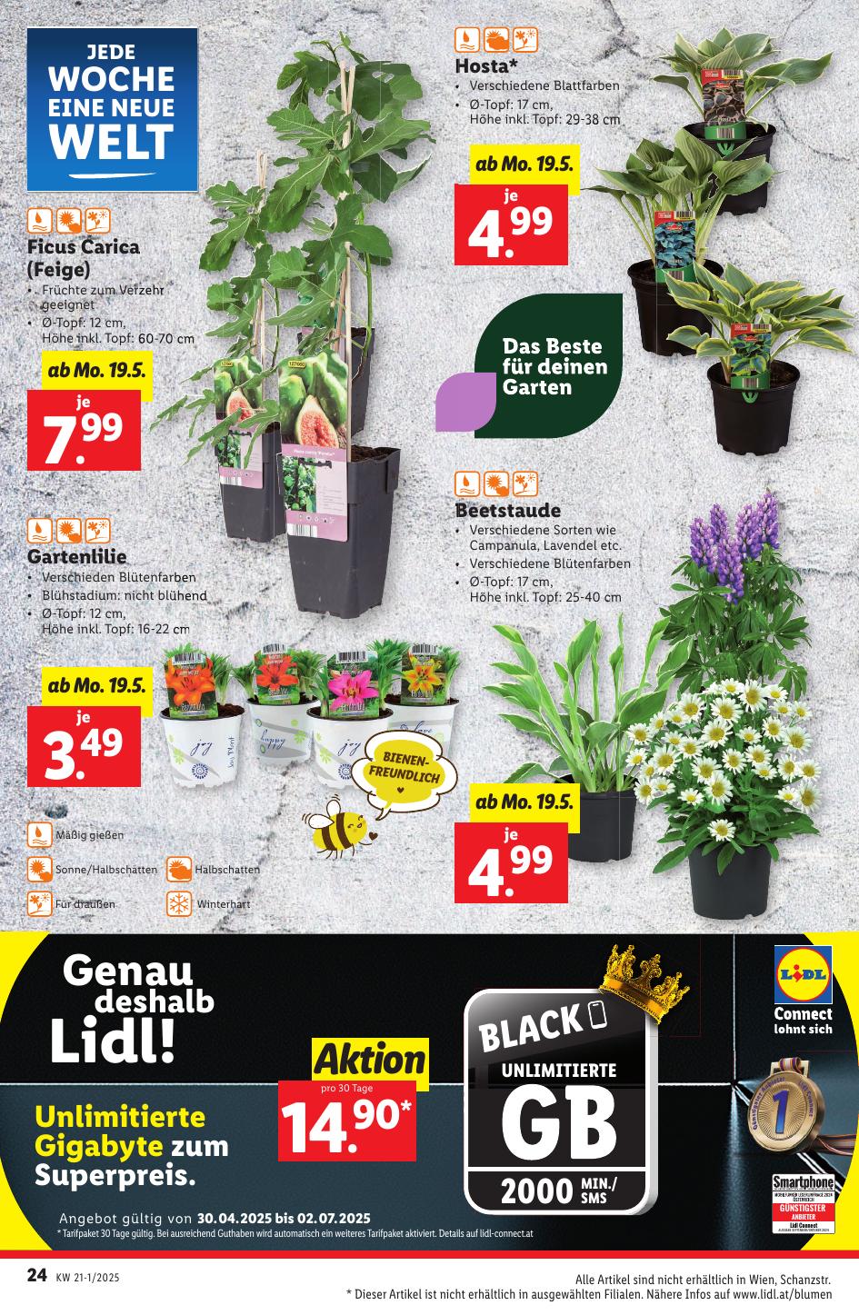 Lidl flyer page