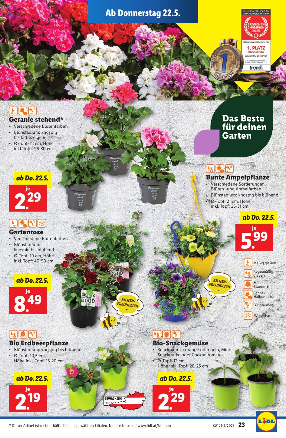 Lidl flyer page