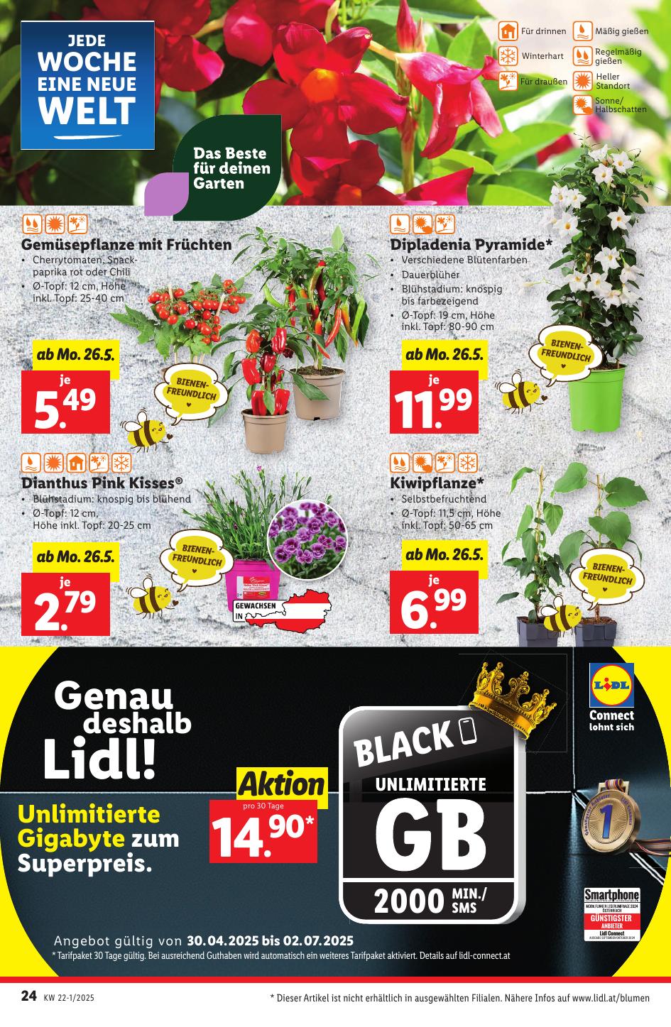 Lidl flyer page