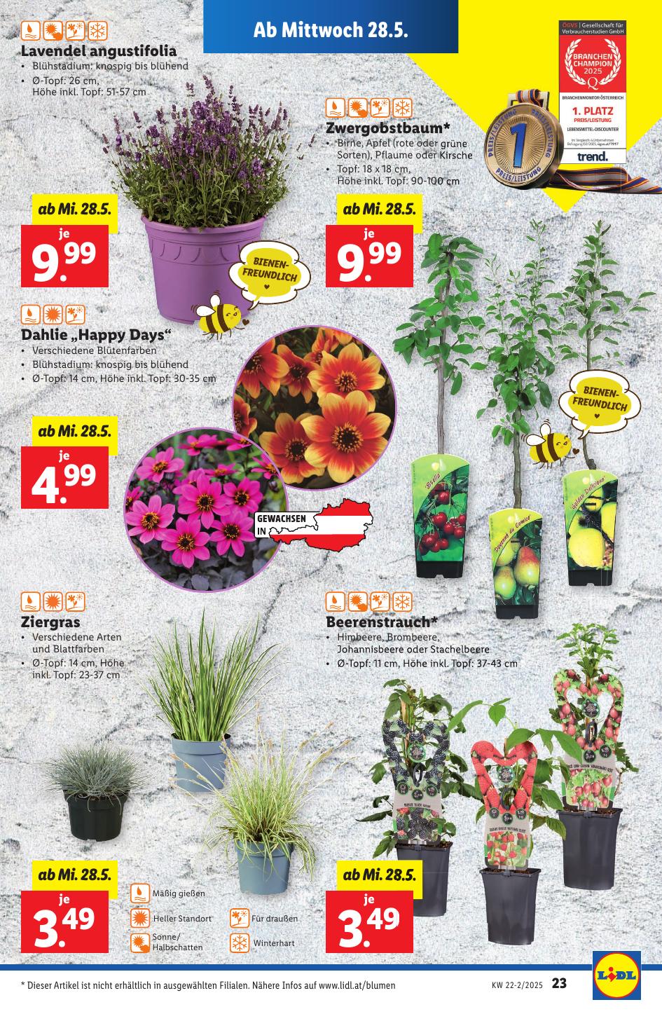 Lidl flyer page