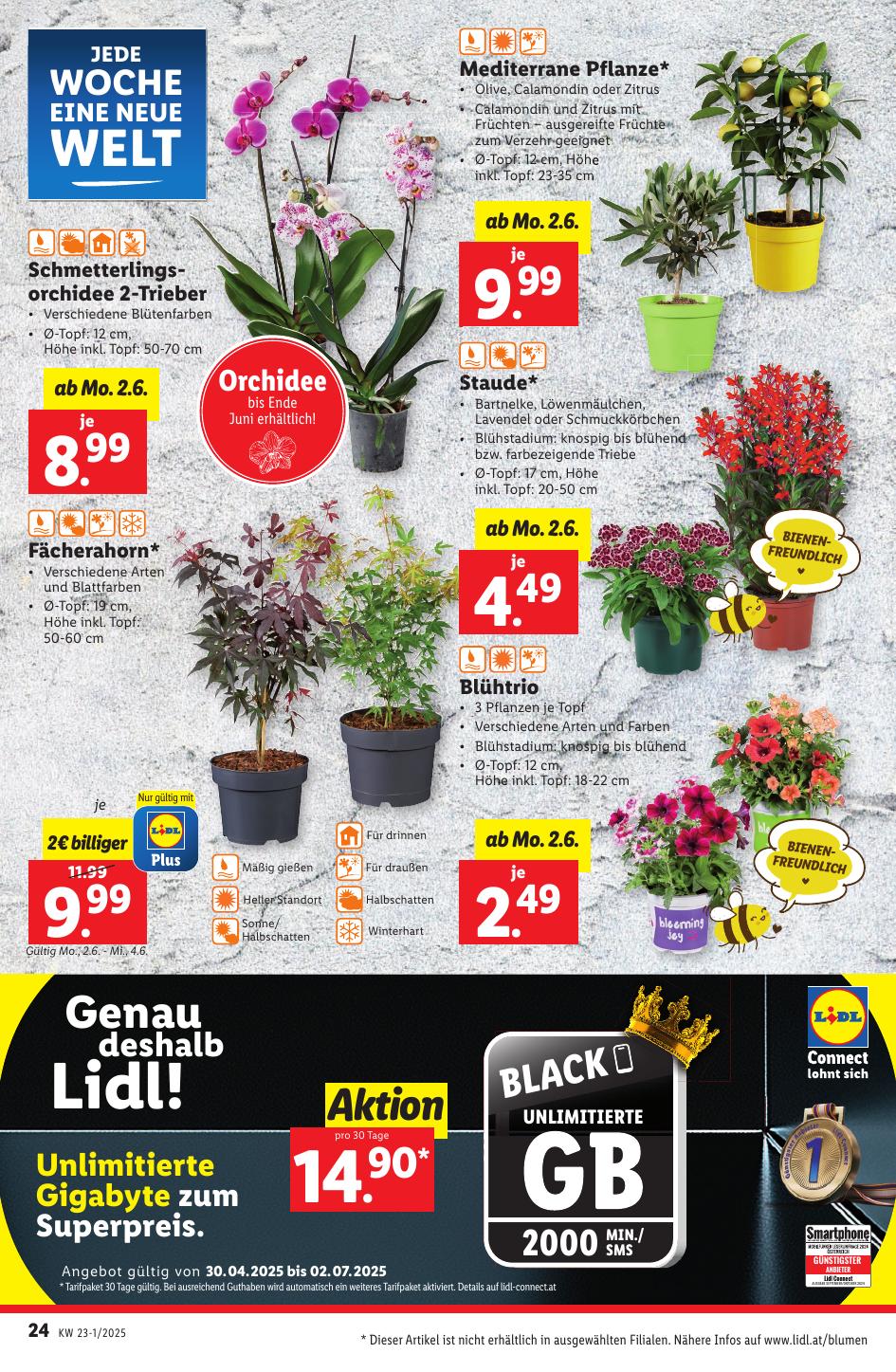 Lidl flyer page