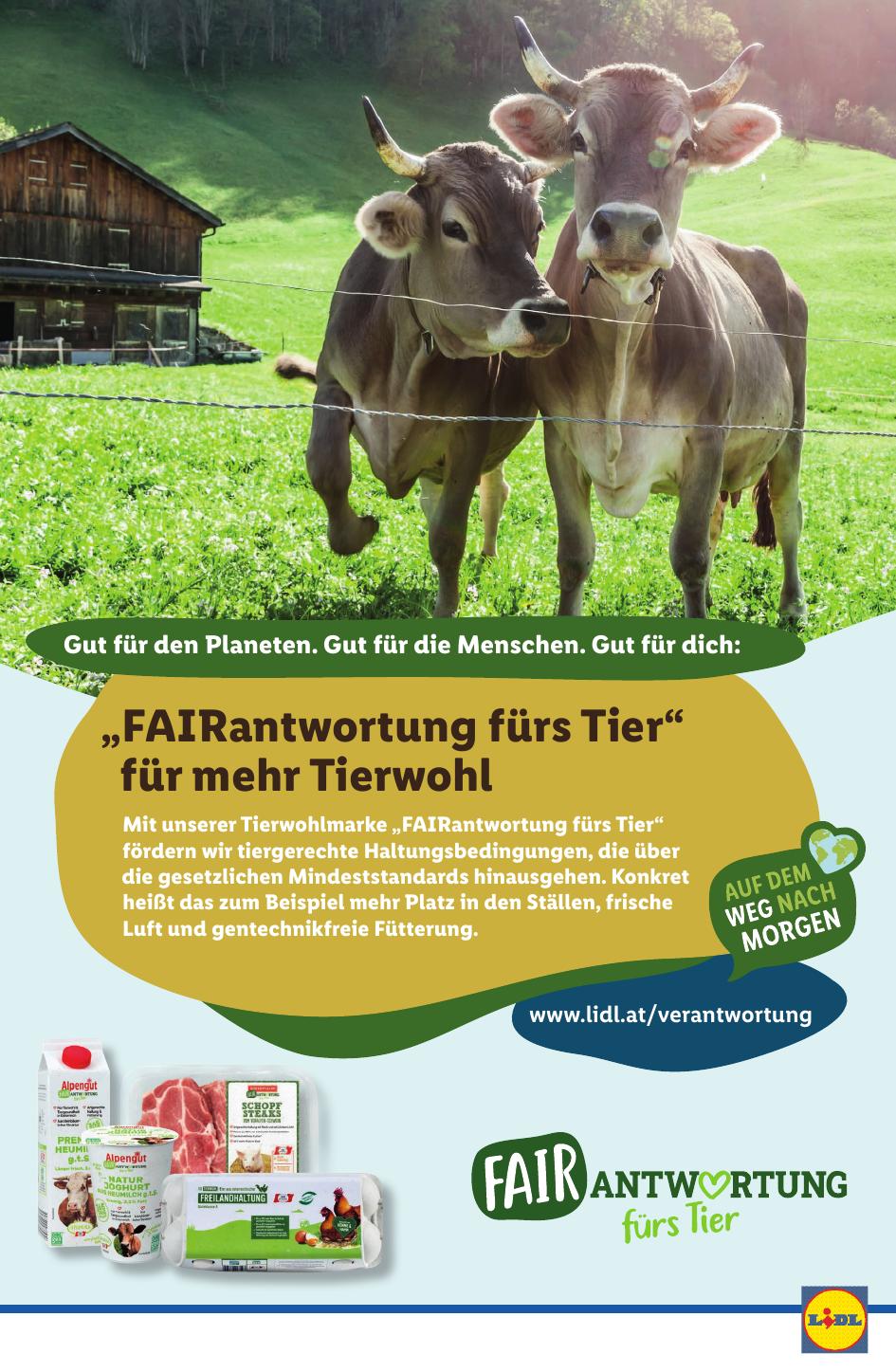 Lidl flyer page
