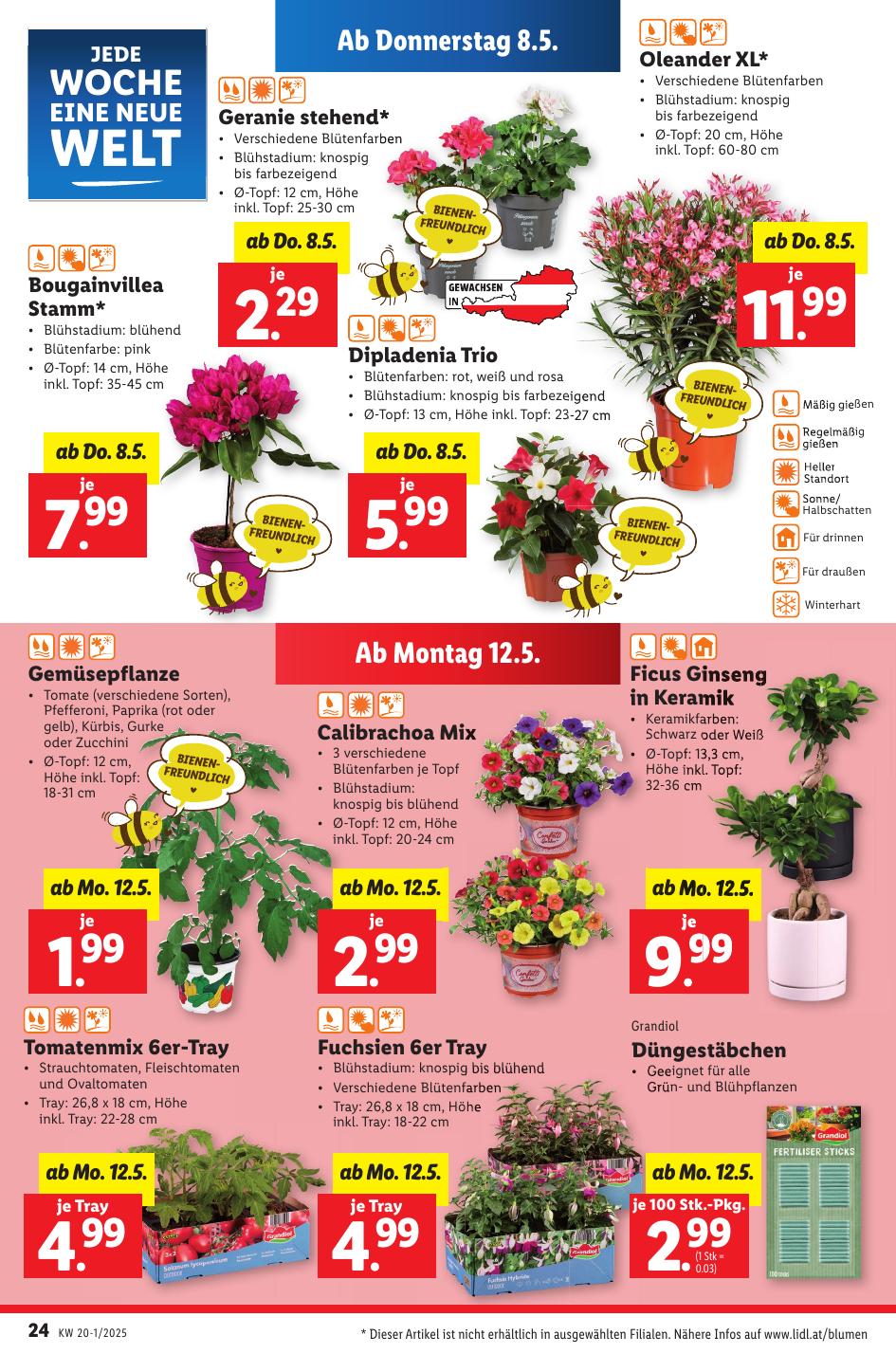 Lidl flyer page