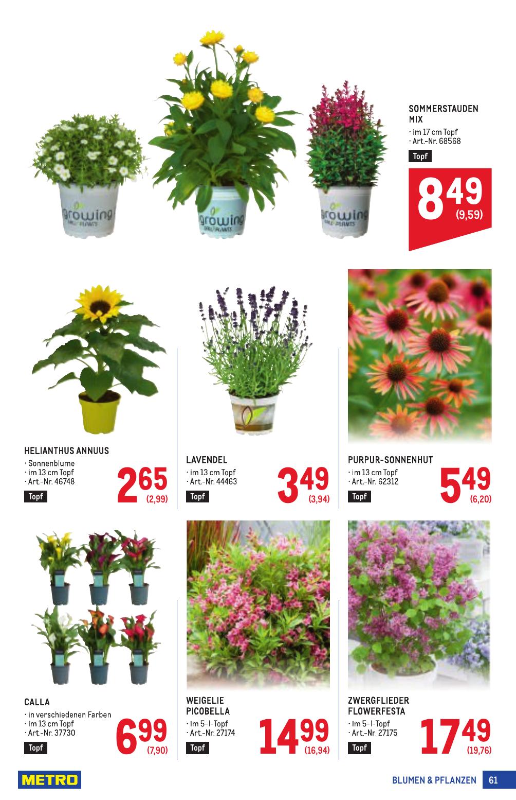 Metro Profi flyer page