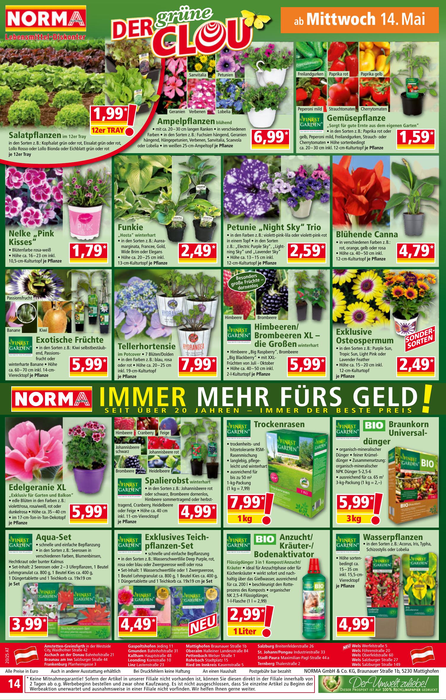 Norma flyer page