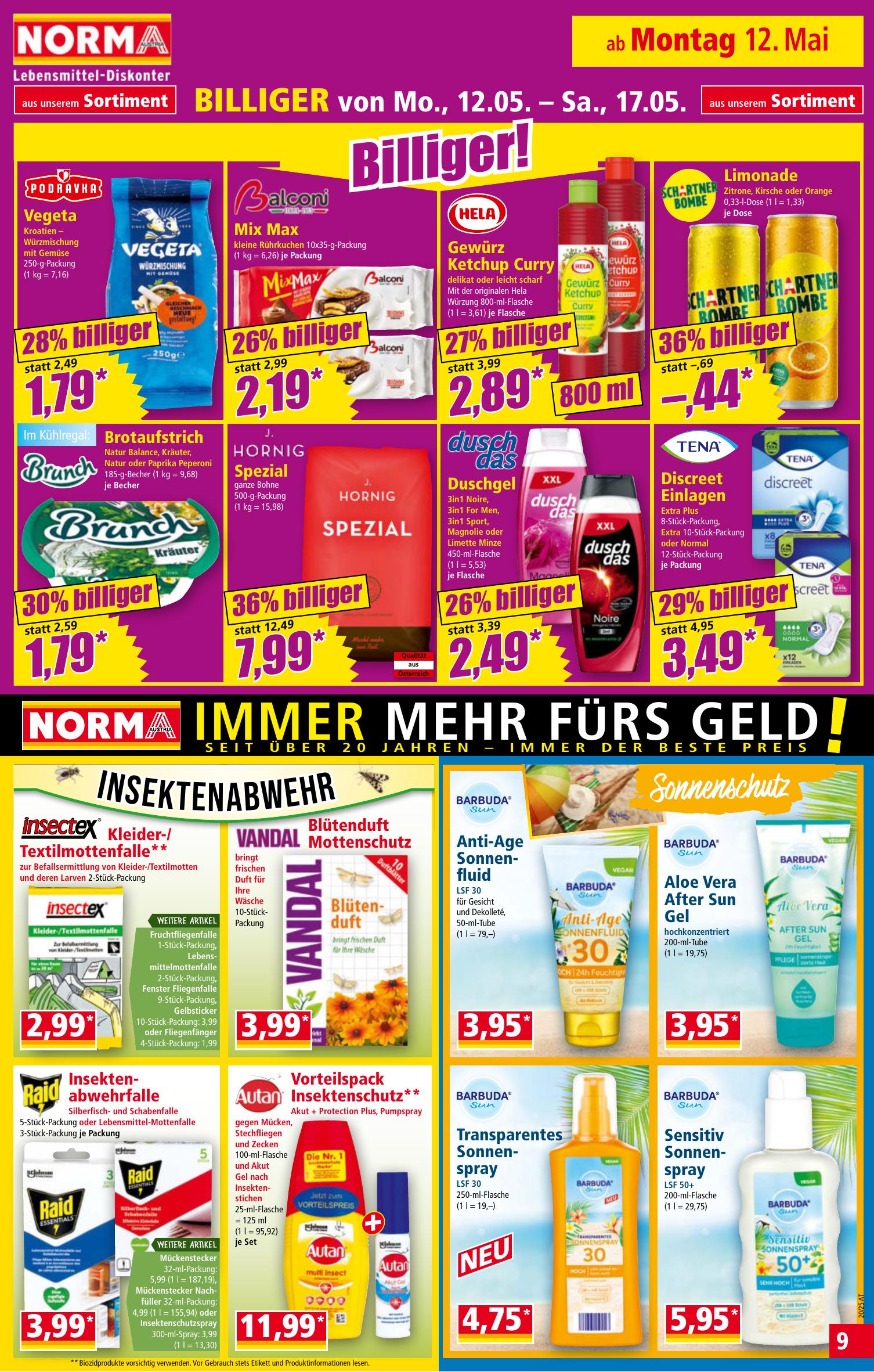 Norma flyer page