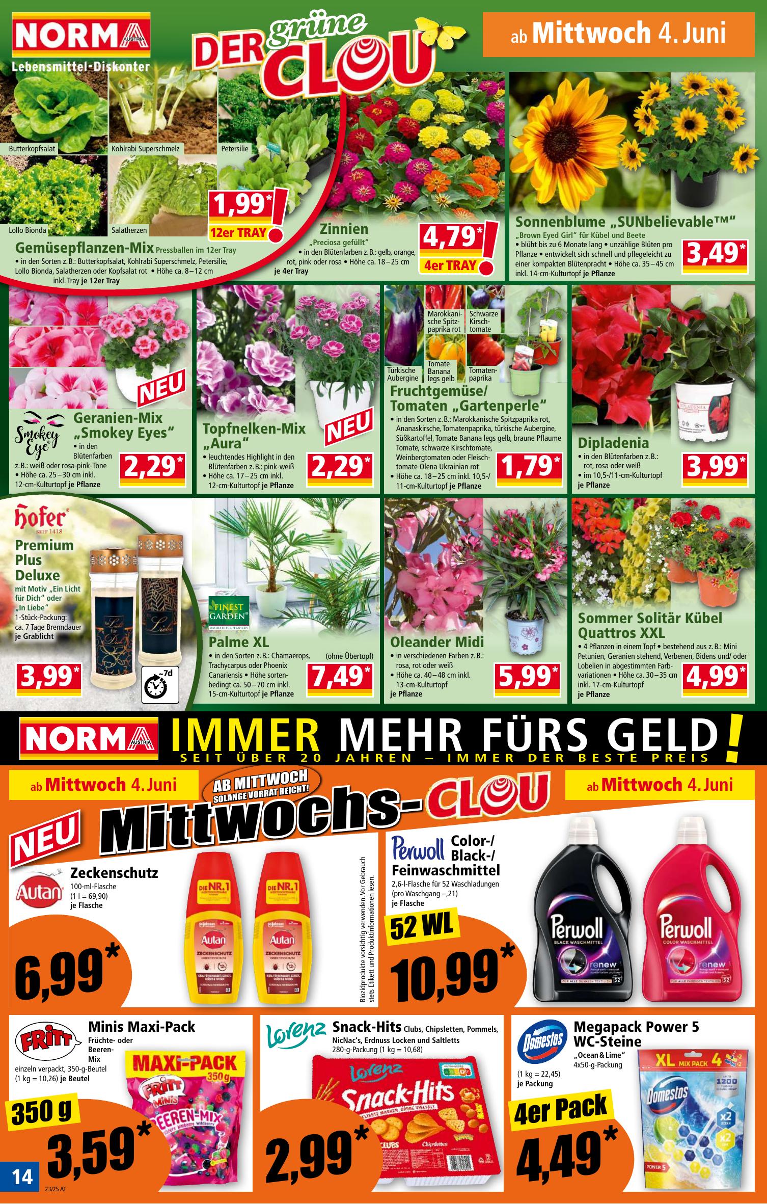 Norma flyer page