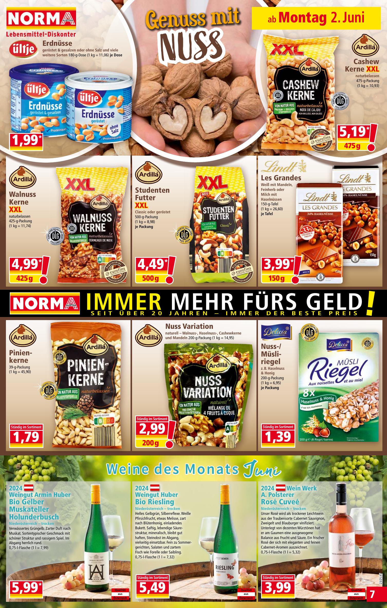Norma flyer page