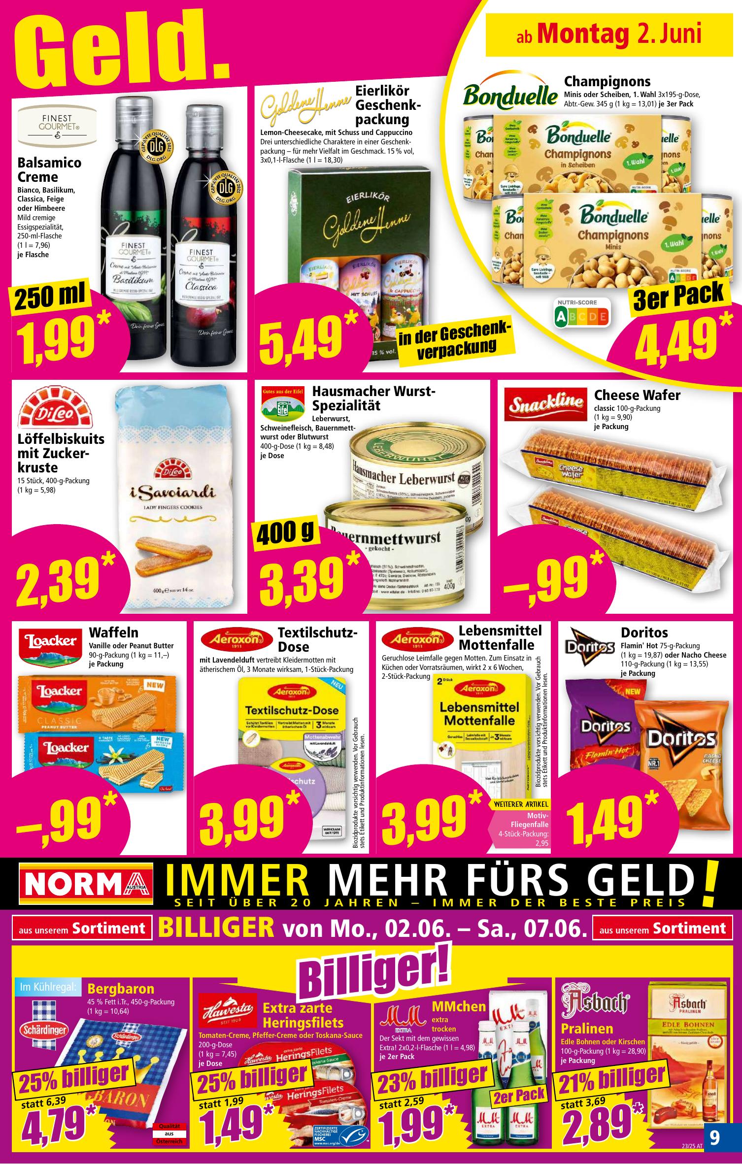 Norma flyer page