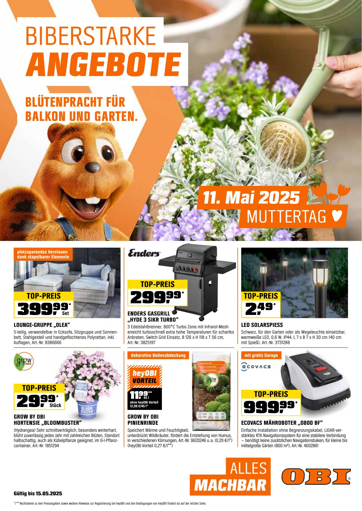 Obi flyer page