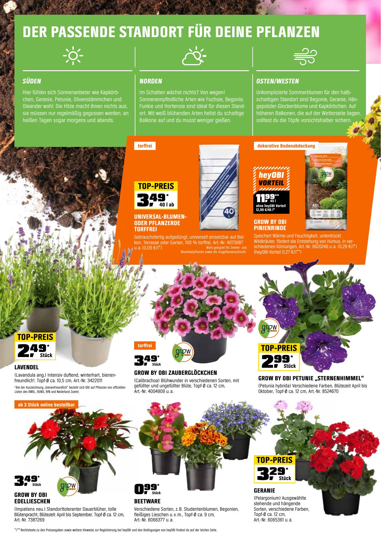 Obi flyer page