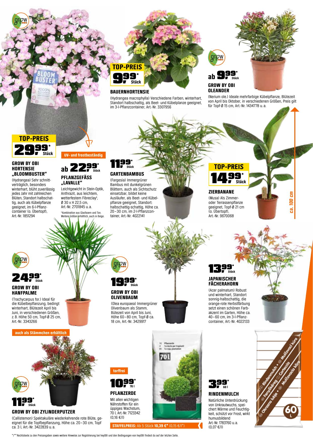 Obi flyer page