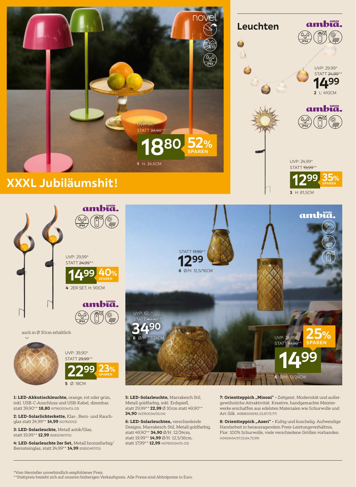 XXX Lutz flyer page