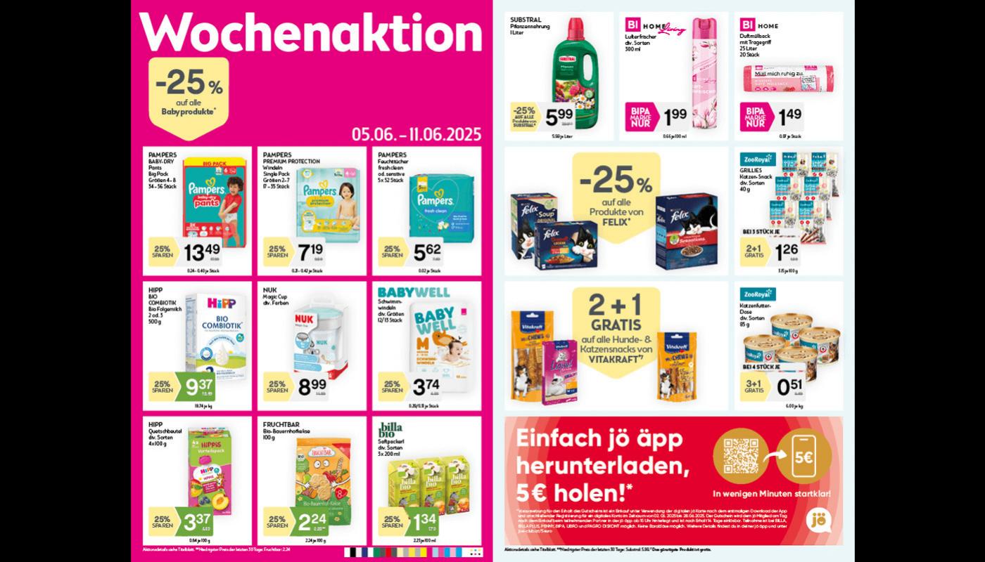 Bipa flyer page