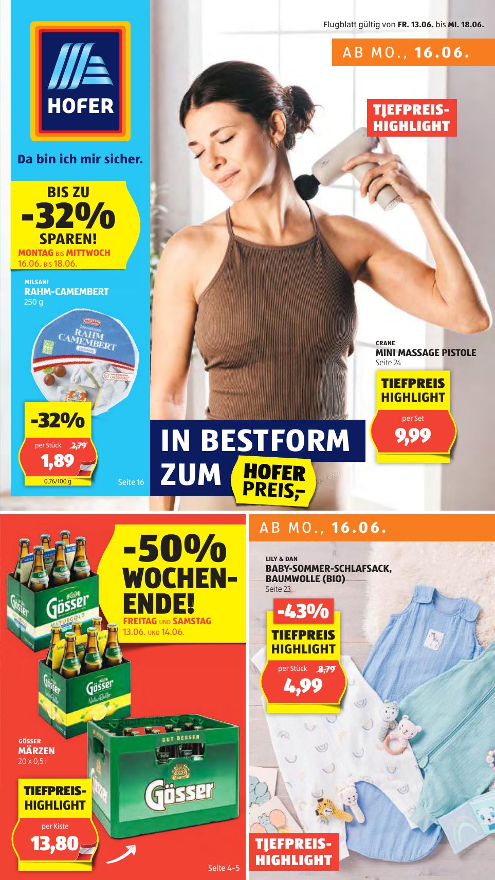Hofer flyer page