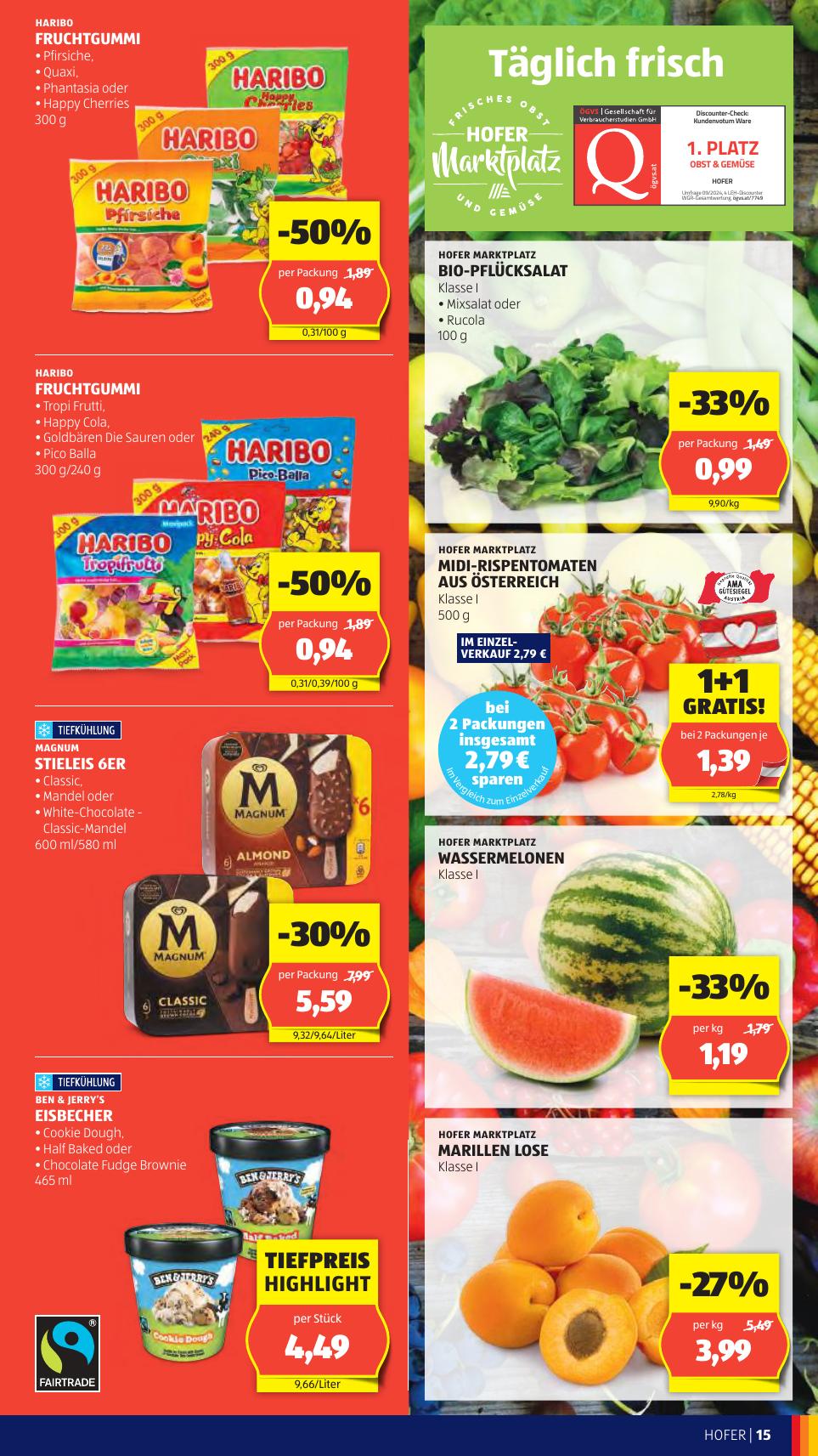 Hofer flyer page
