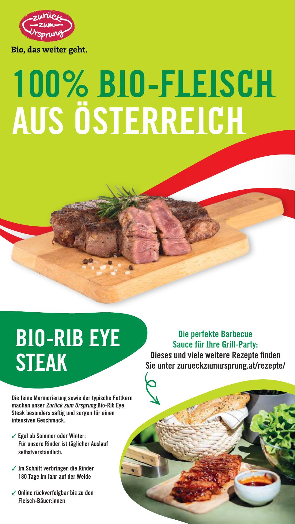 Hofer flyer page