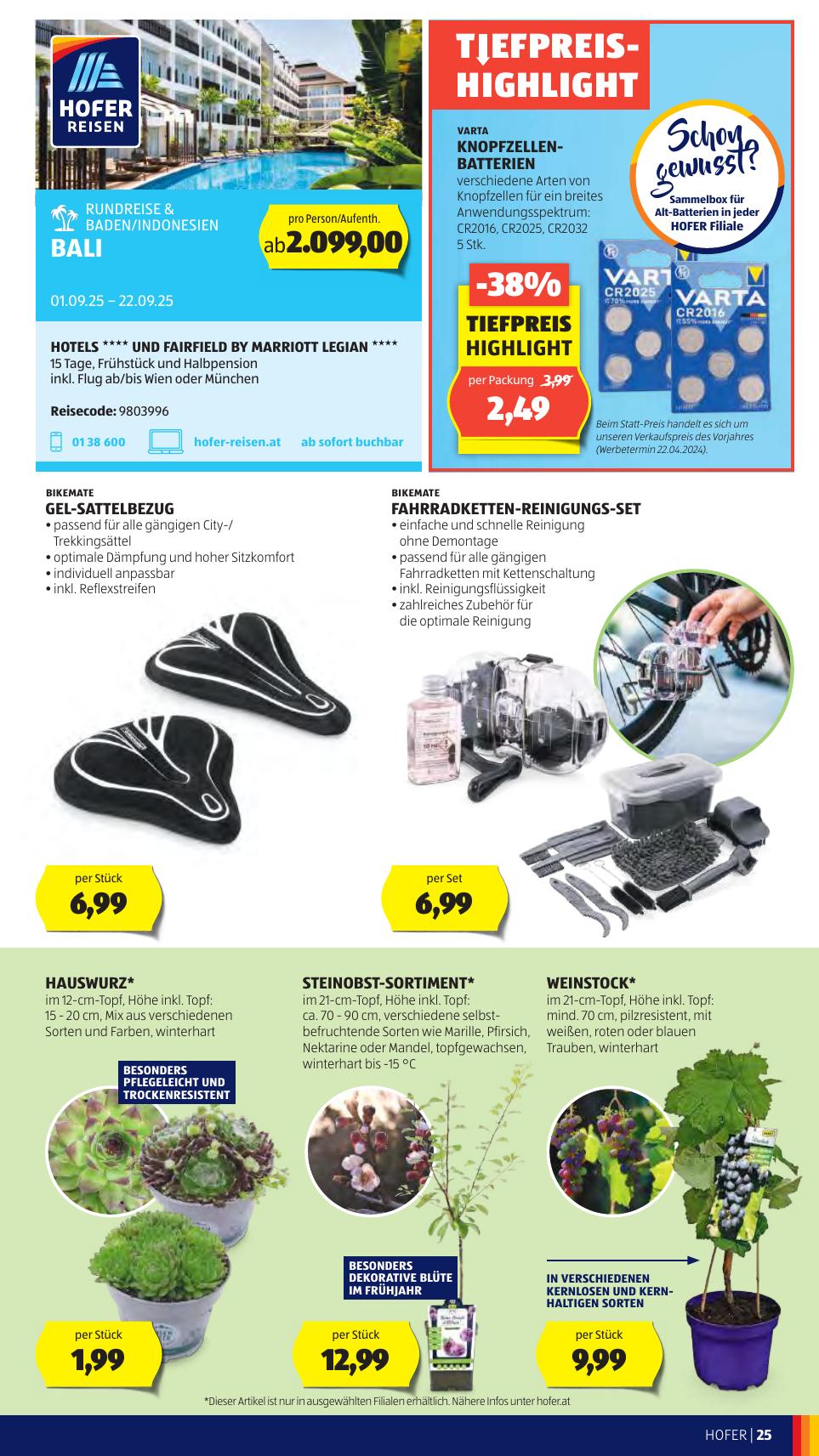 Hofer flyer page