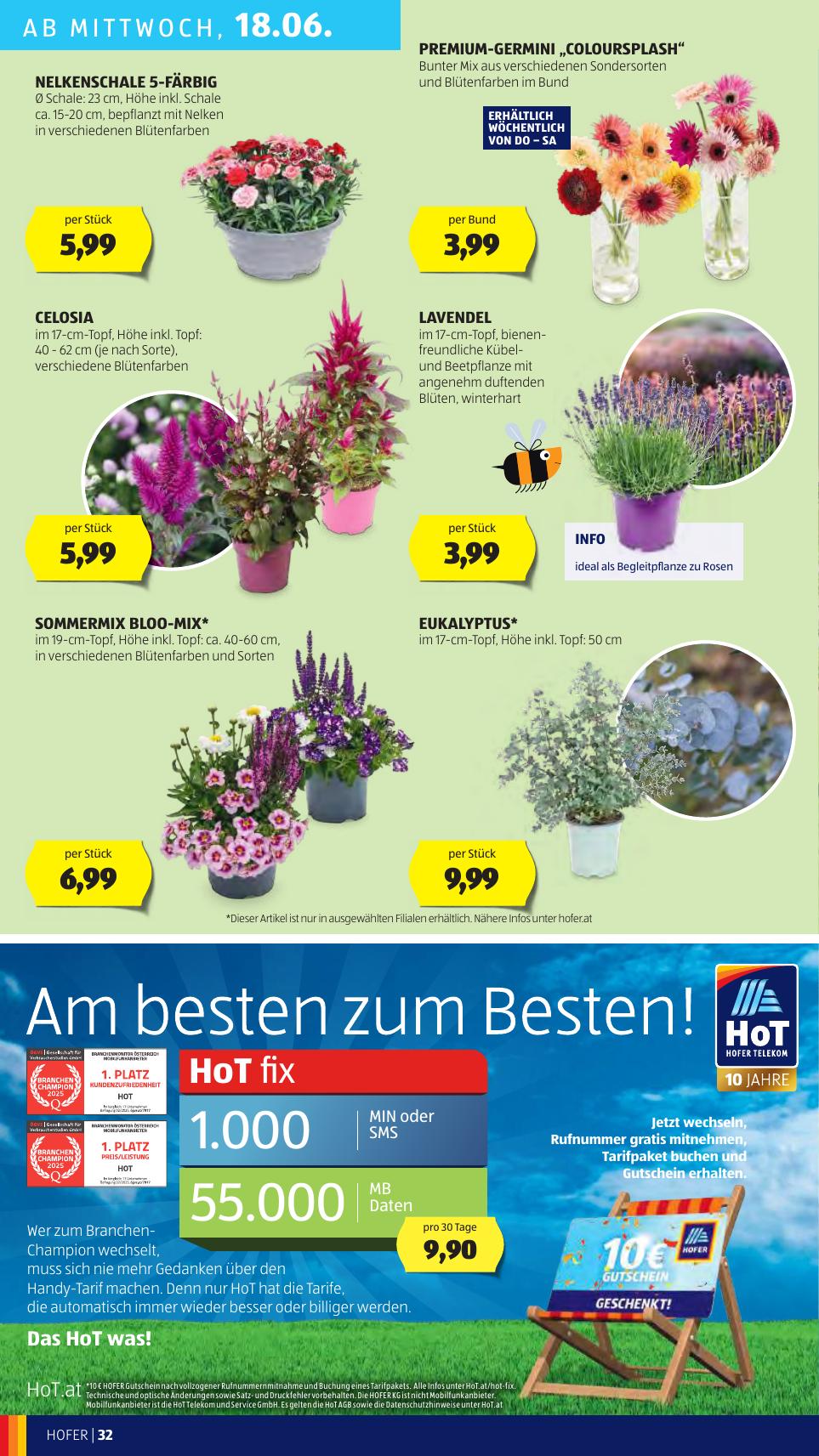 Hofer flyer page