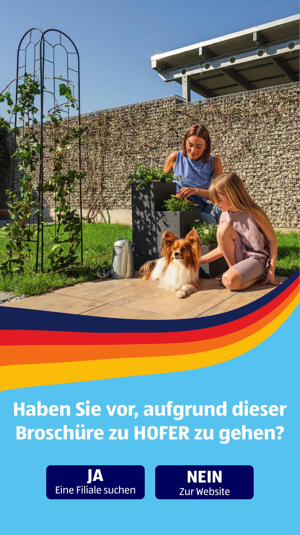 Hofer flyer page