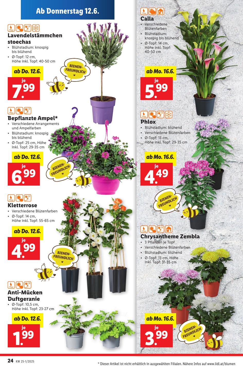 Lidl flyer page