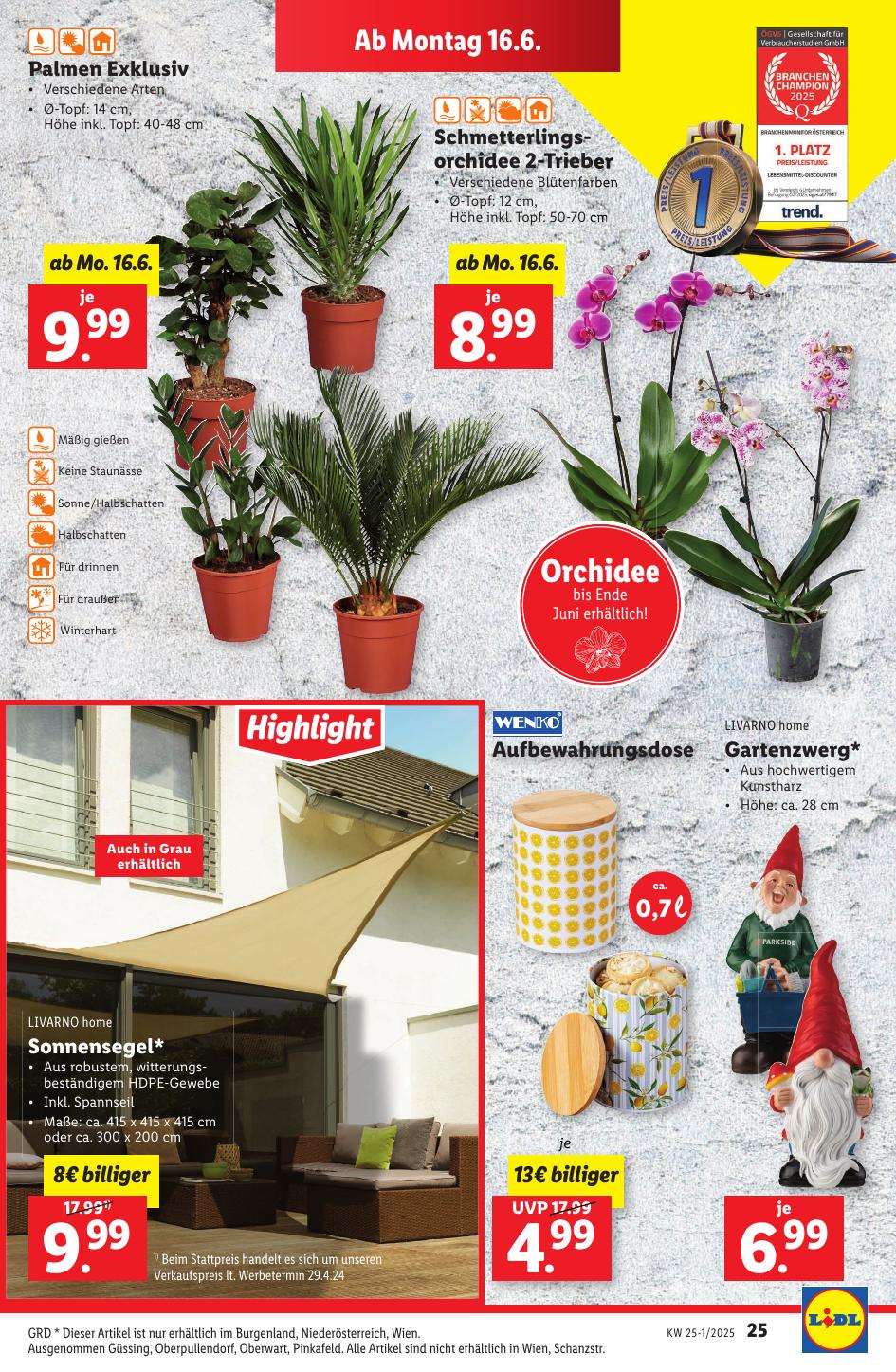 Lidl flyer page