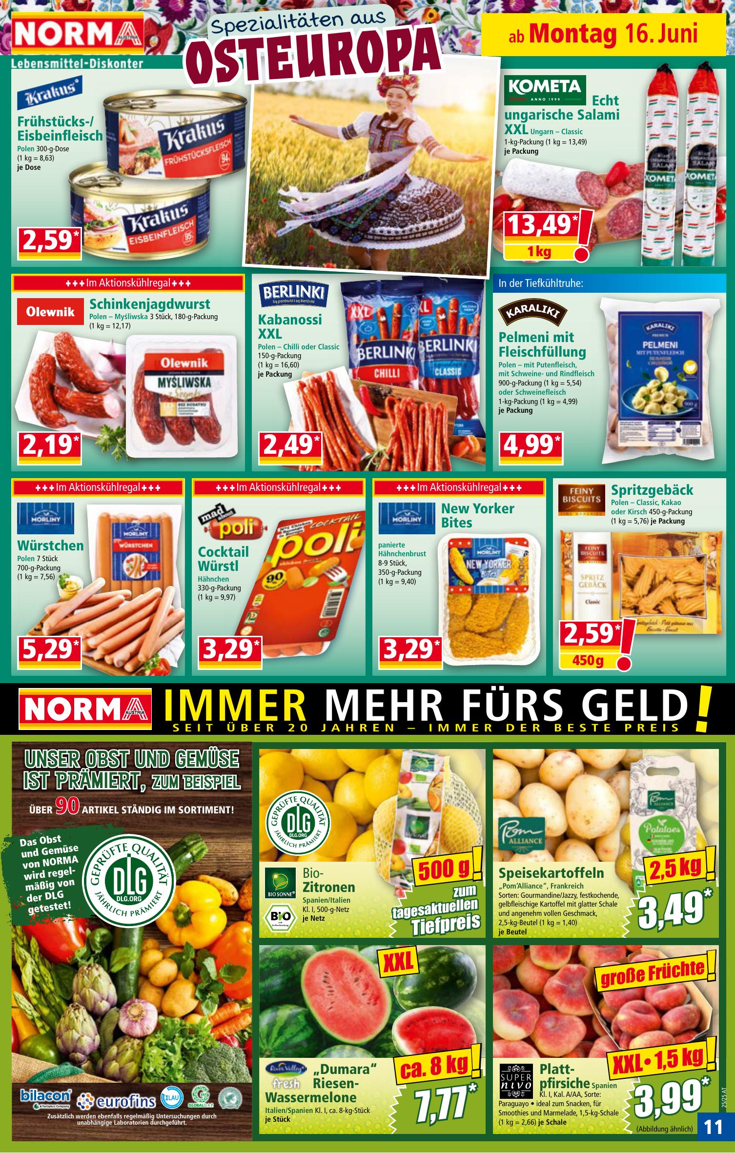 Norma flyer page