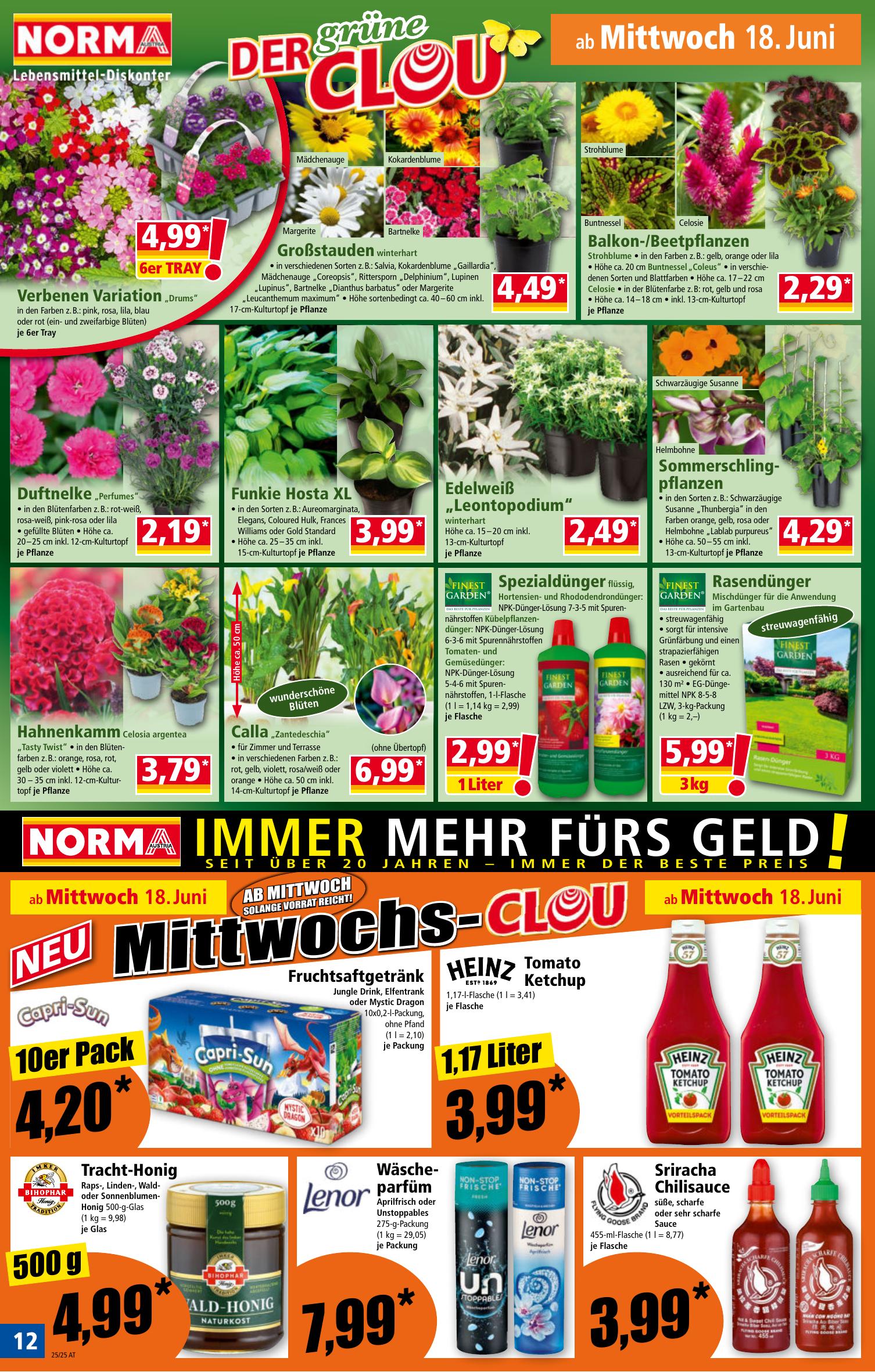 Norma flyer page