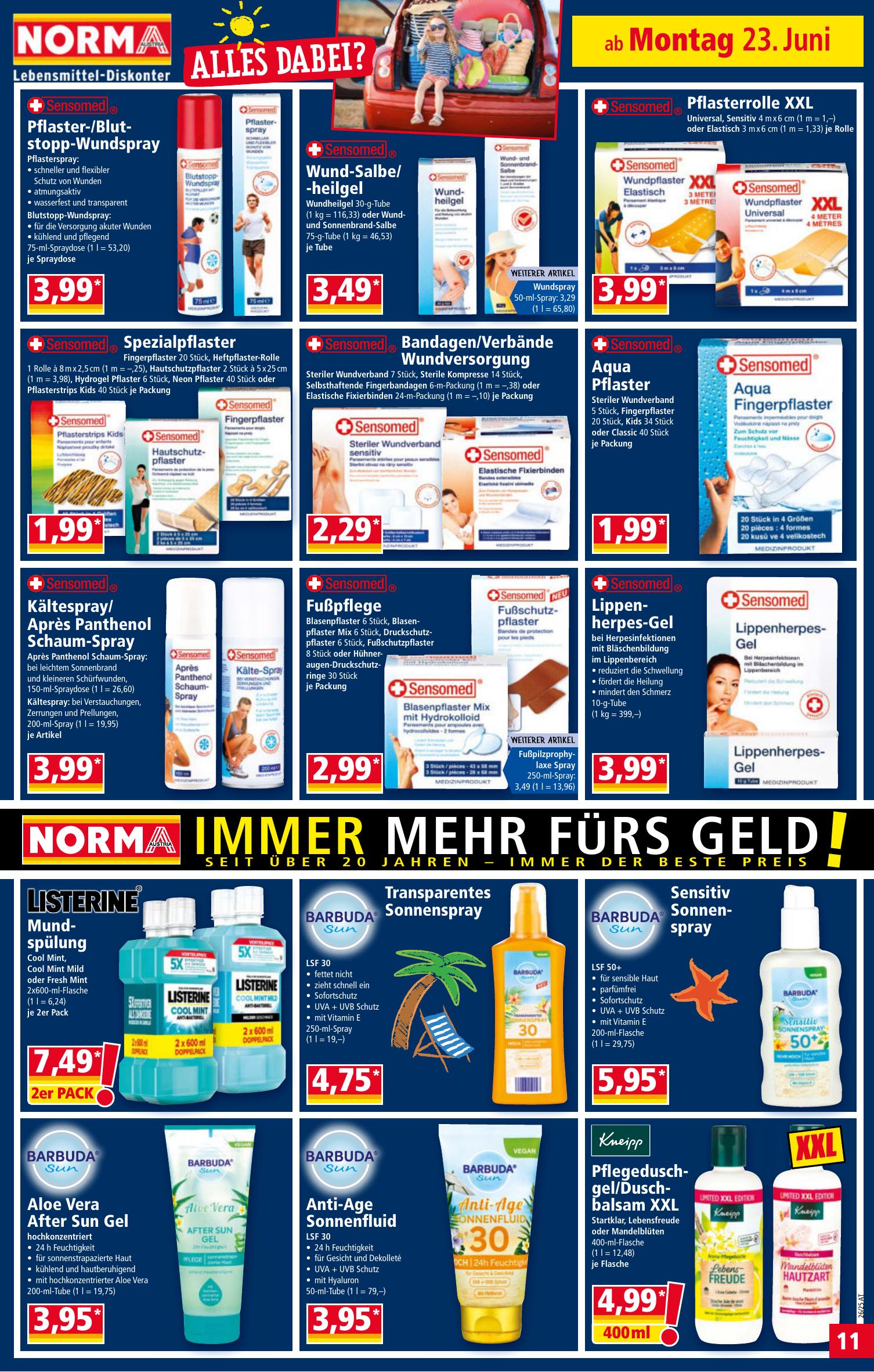 Norma flyer page