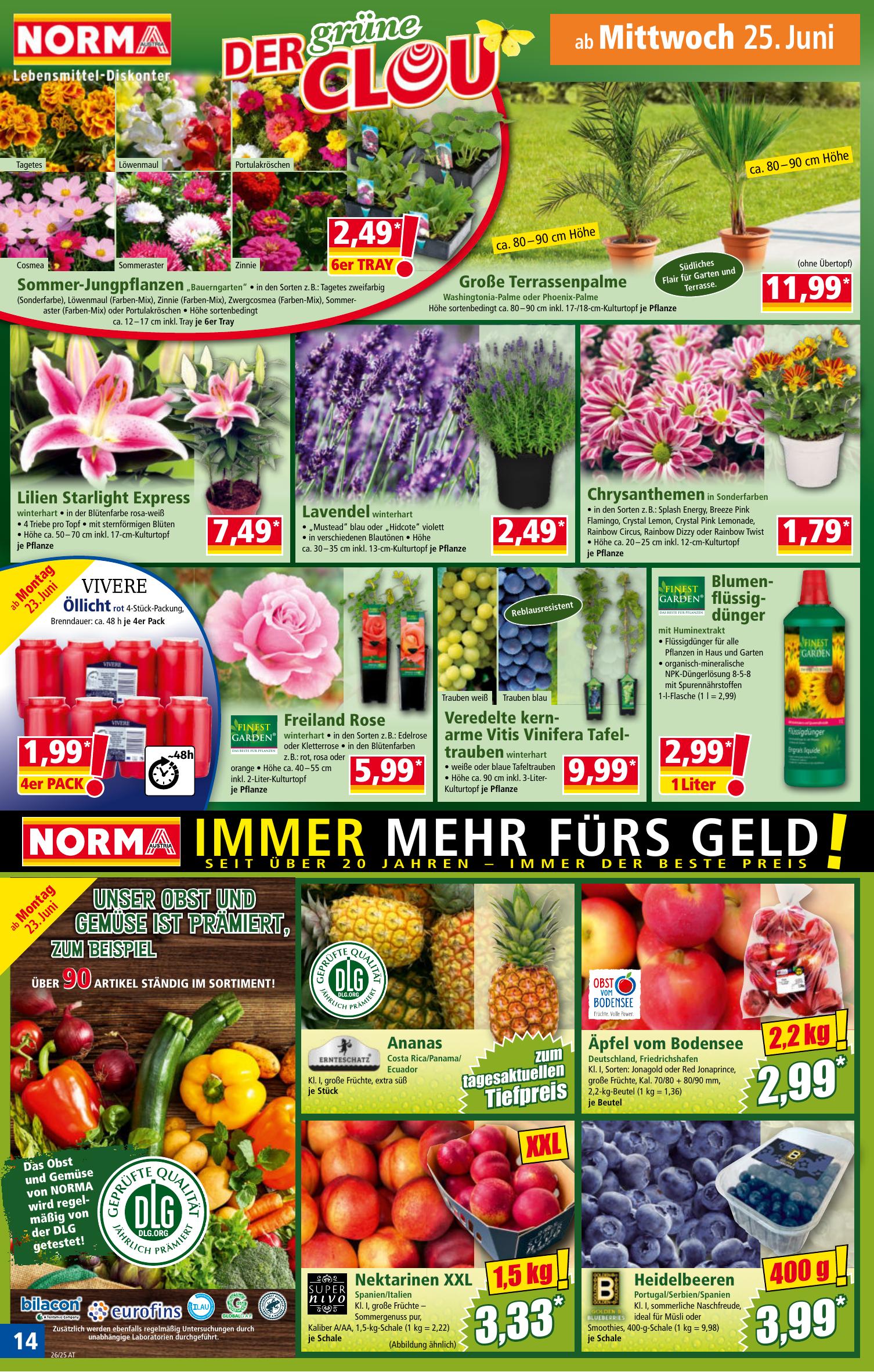 Norma flyer page