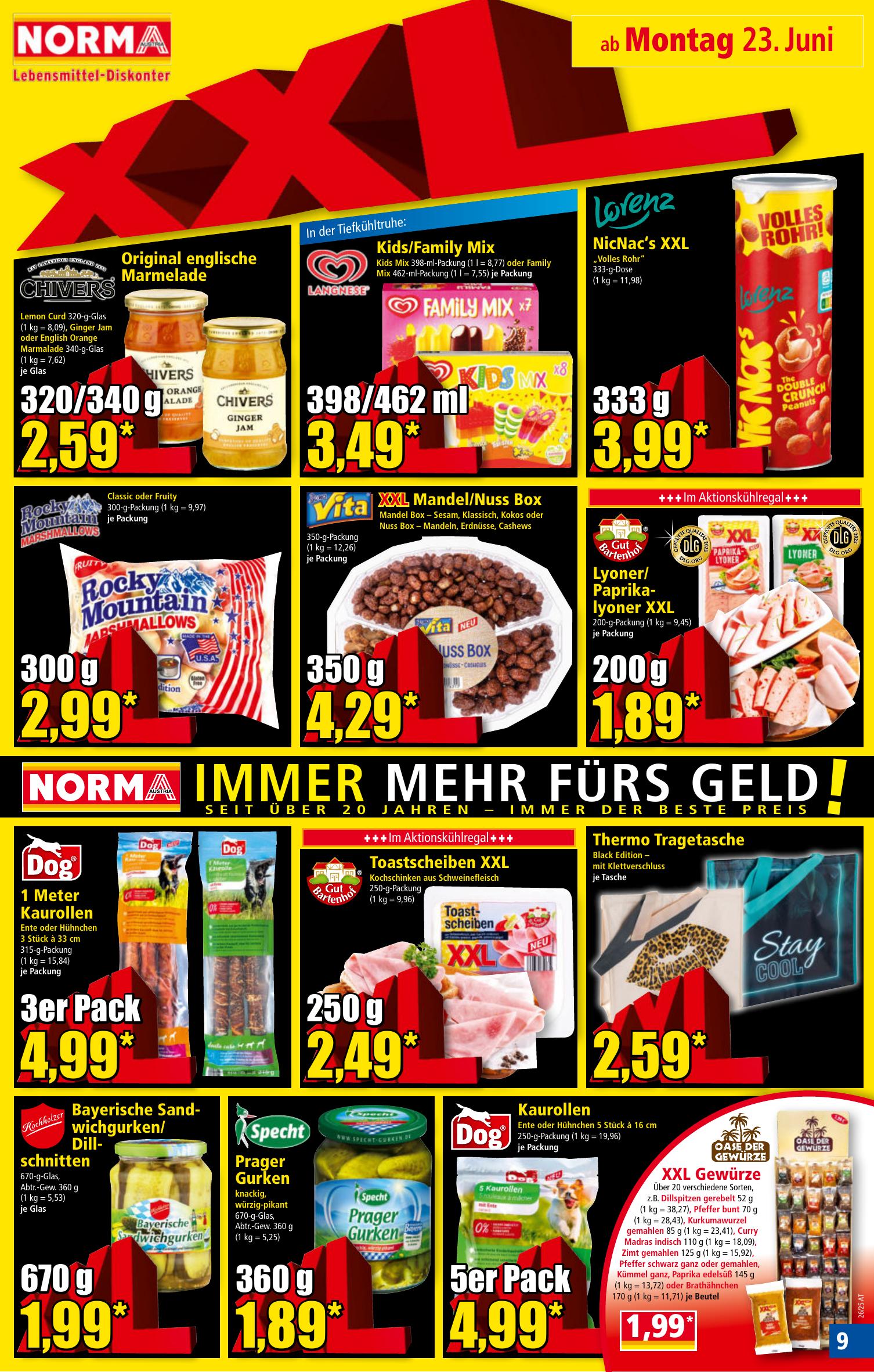Norma flyer page