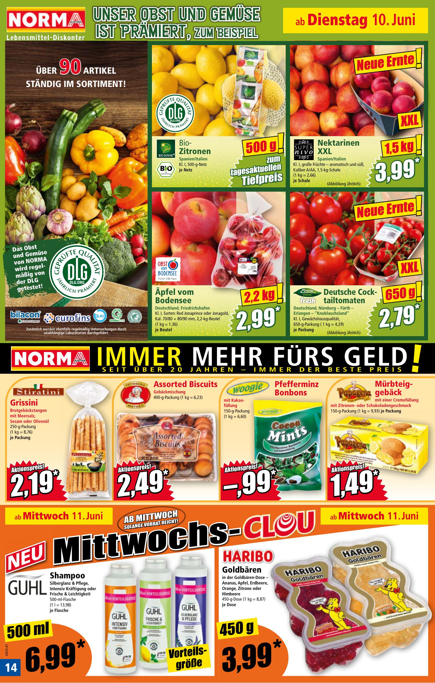 Norma flyer page