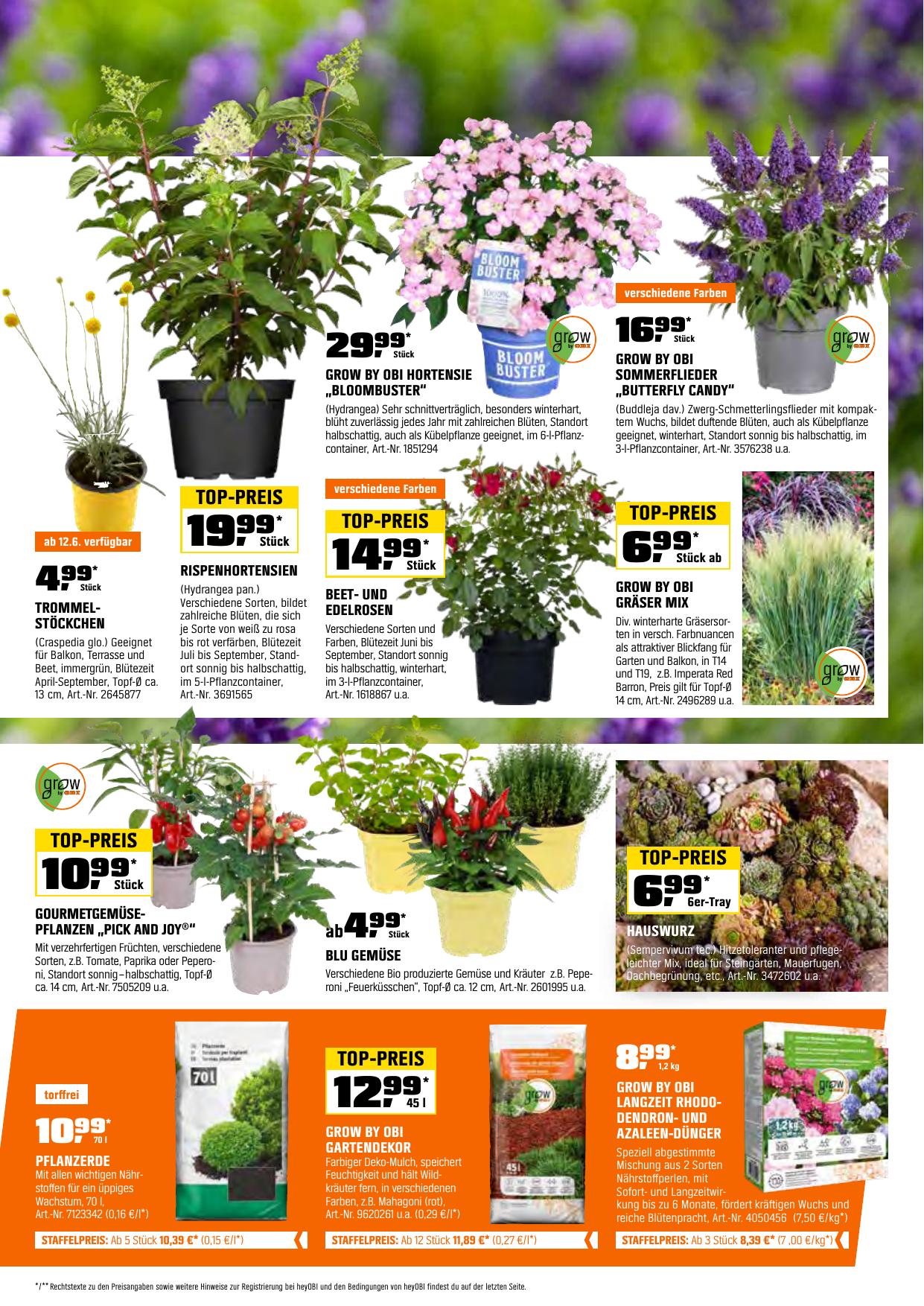 Obi flyer page