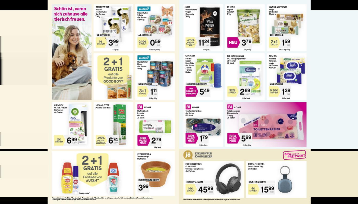 Bipa flyer page