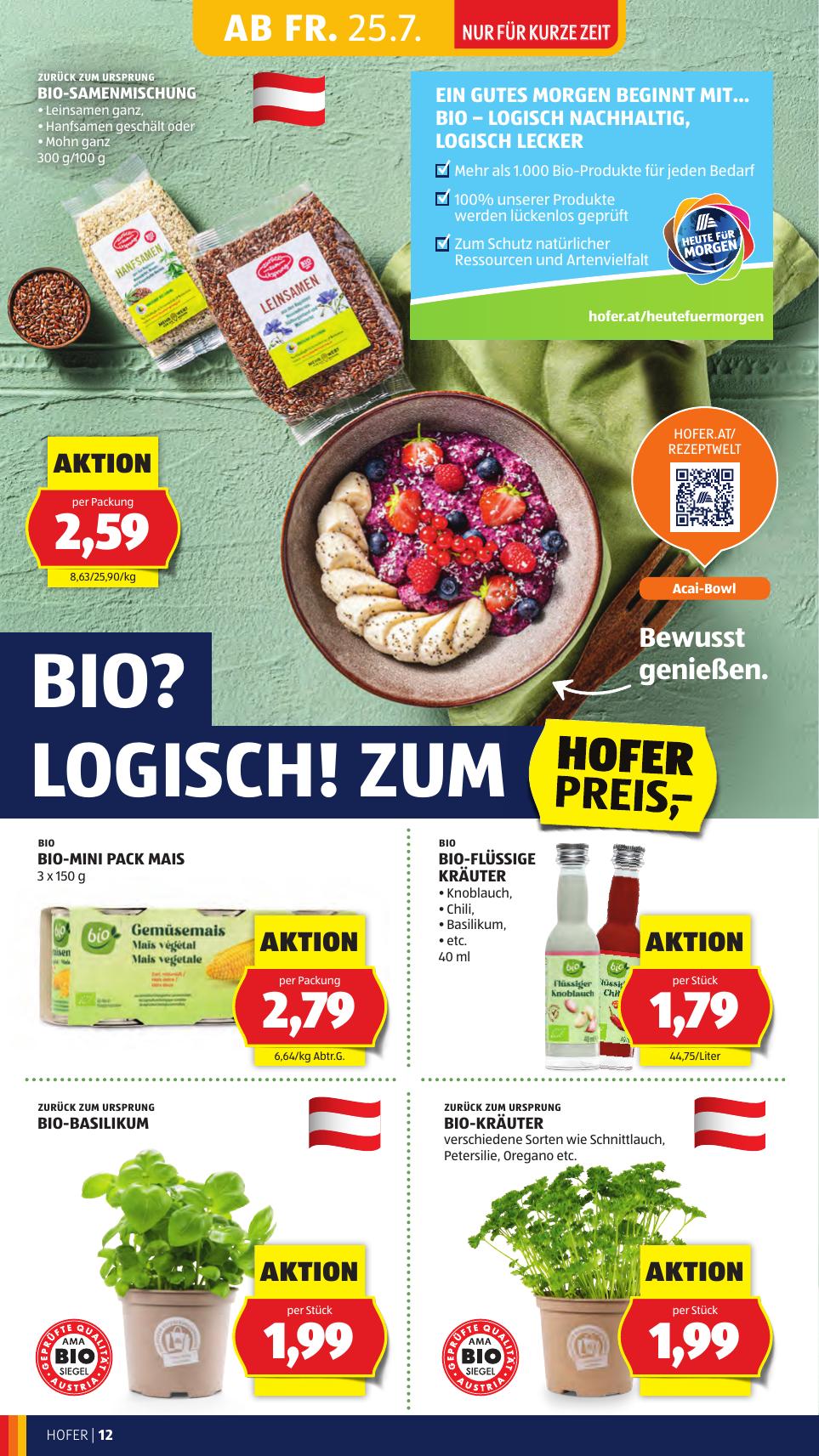 Hofer flyer page