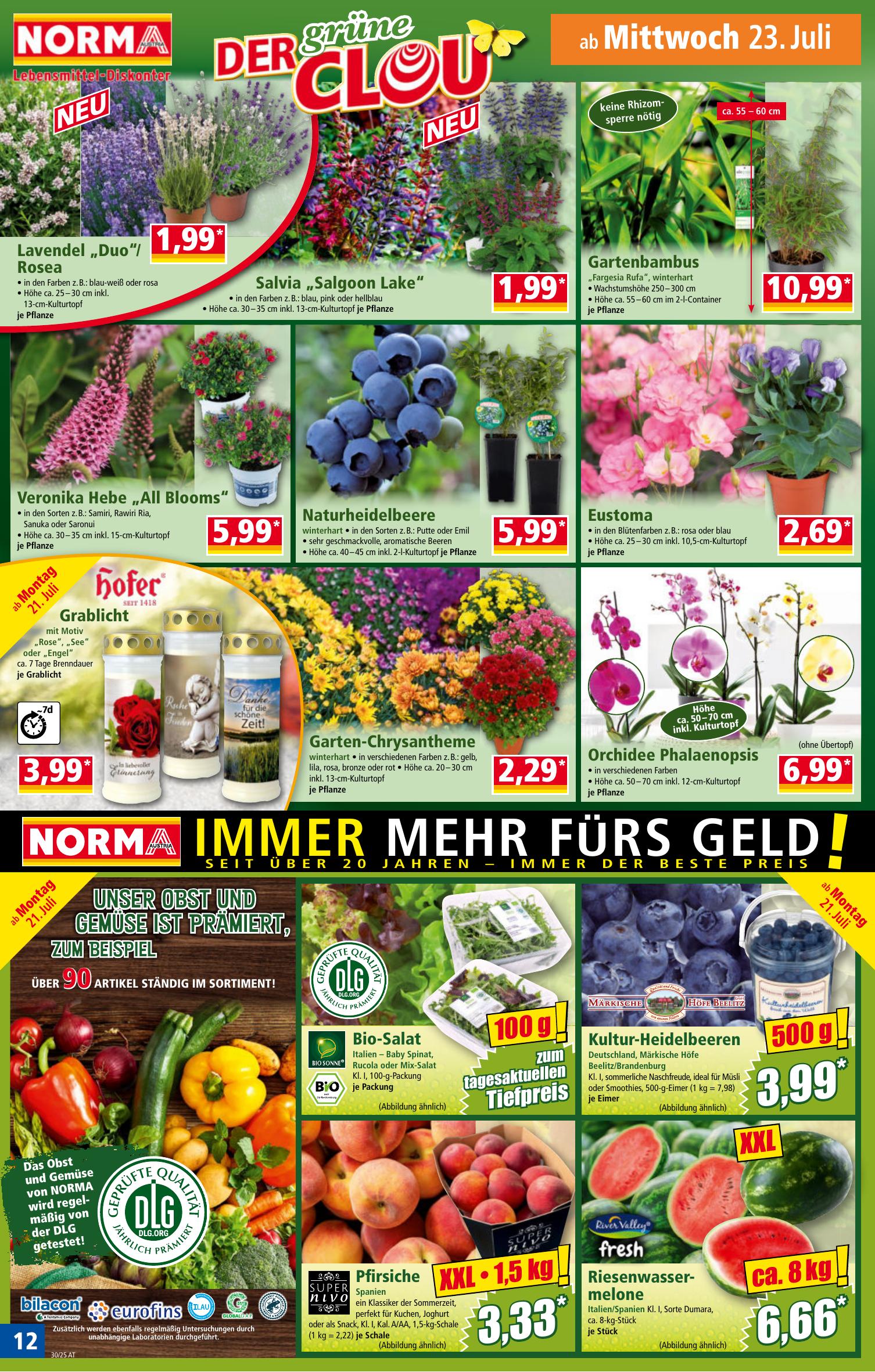 Norma flyer page
