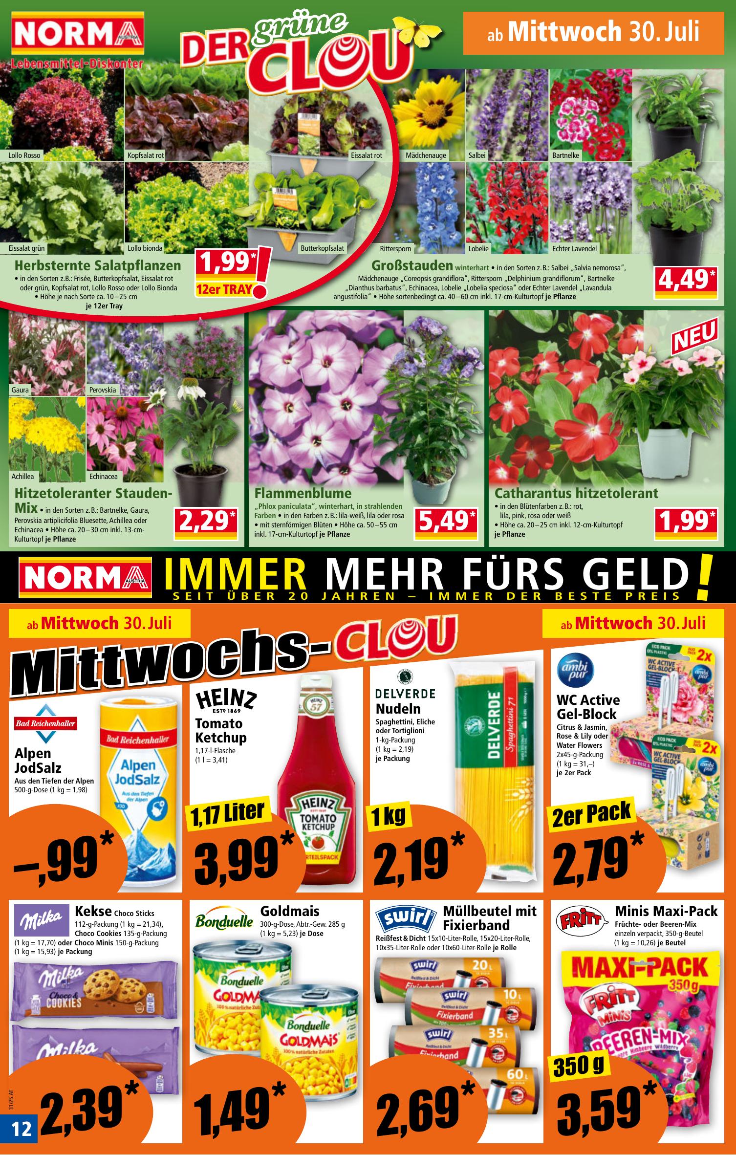 Norma flyer page