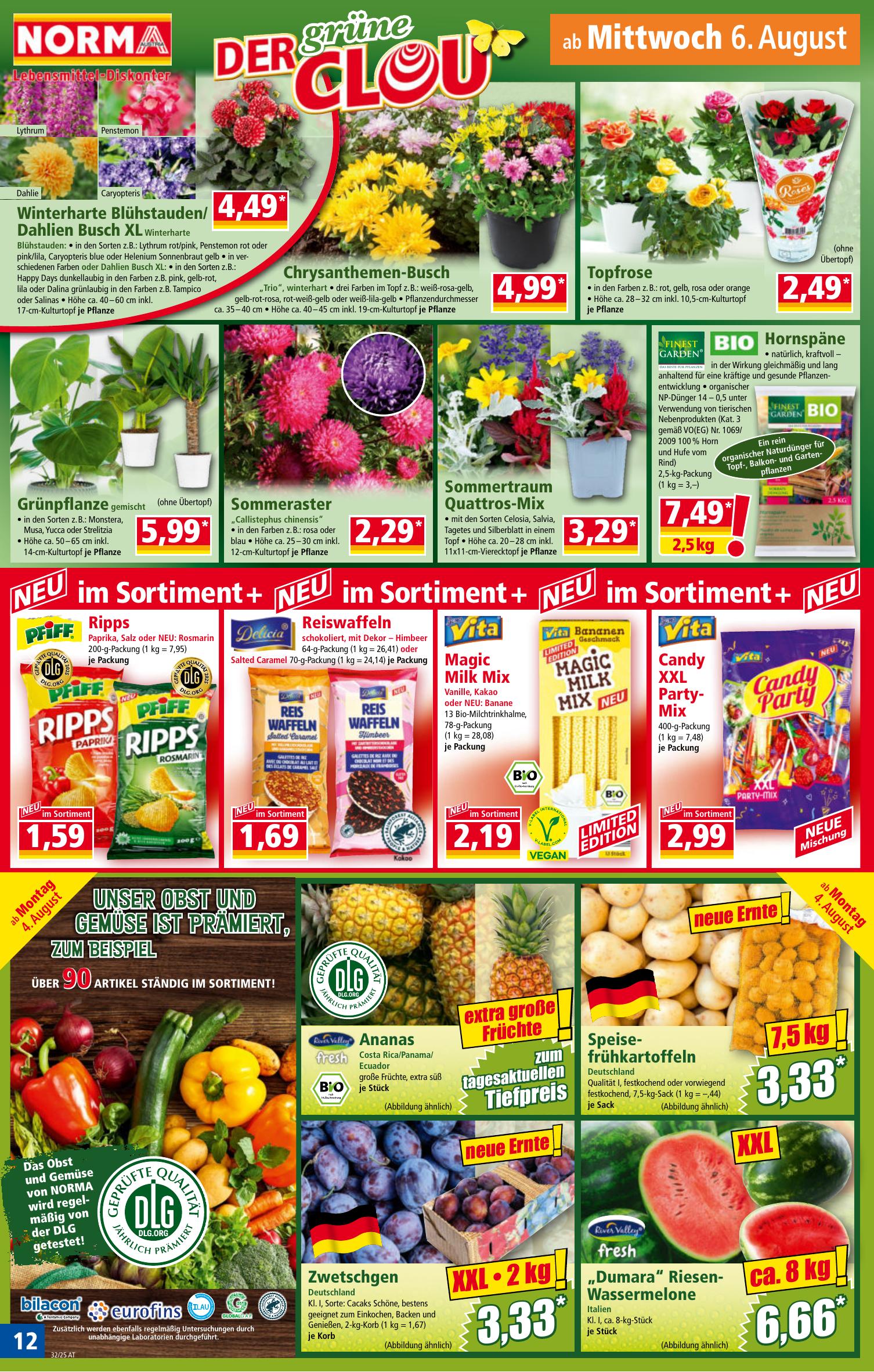 Norma flyer page