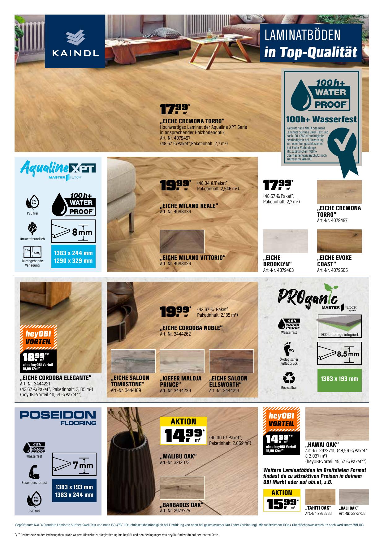 Obi flyer page