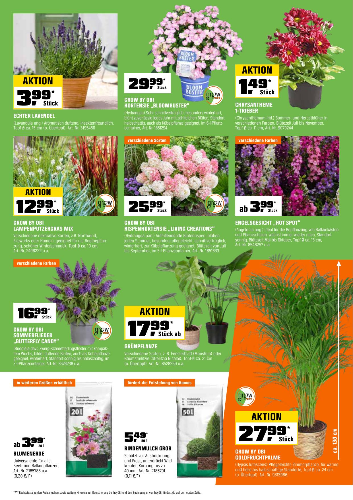 Obi flyer page