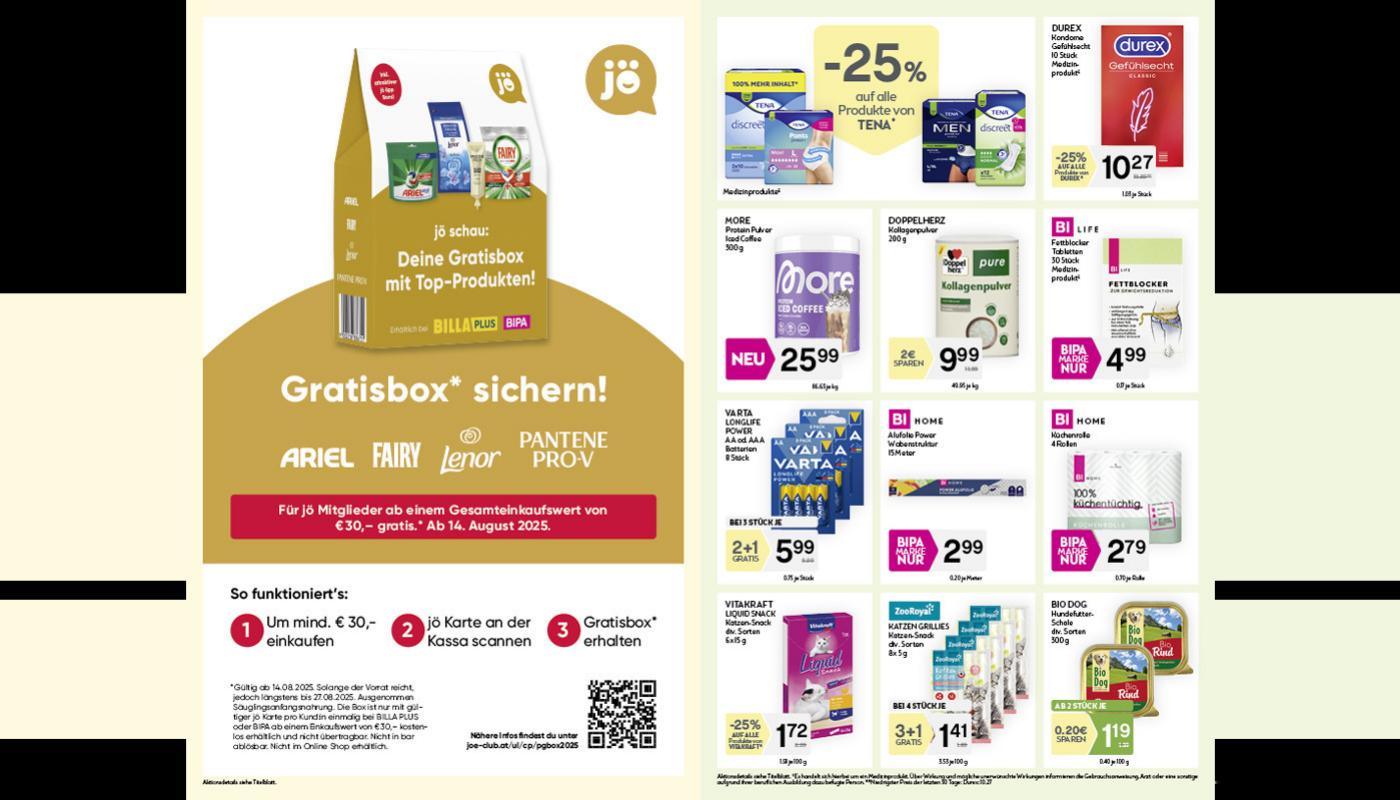 Bipa flyer page